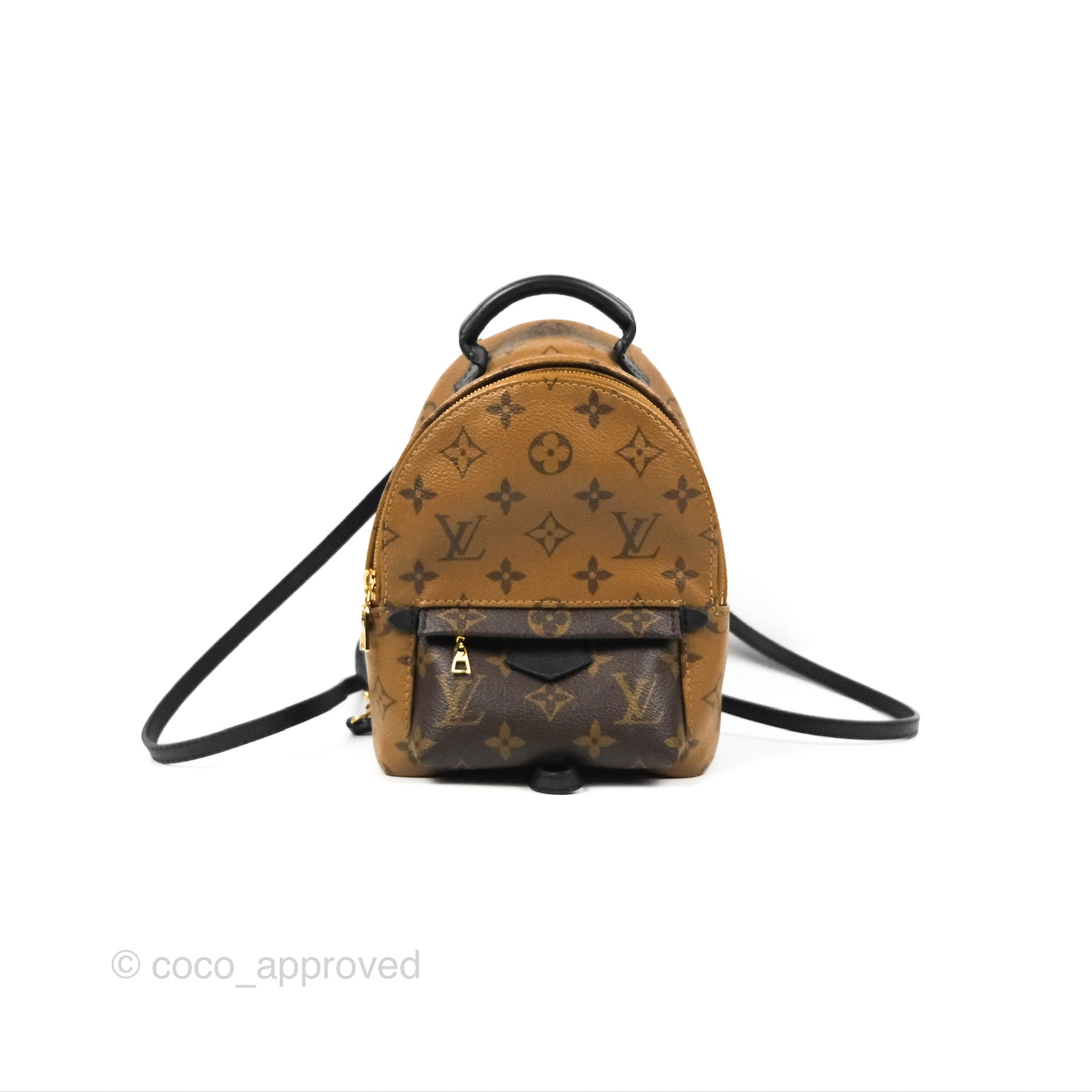 Louis Vuitton Reverse Mini Palm Springs Backpack – Coco Approved Studio