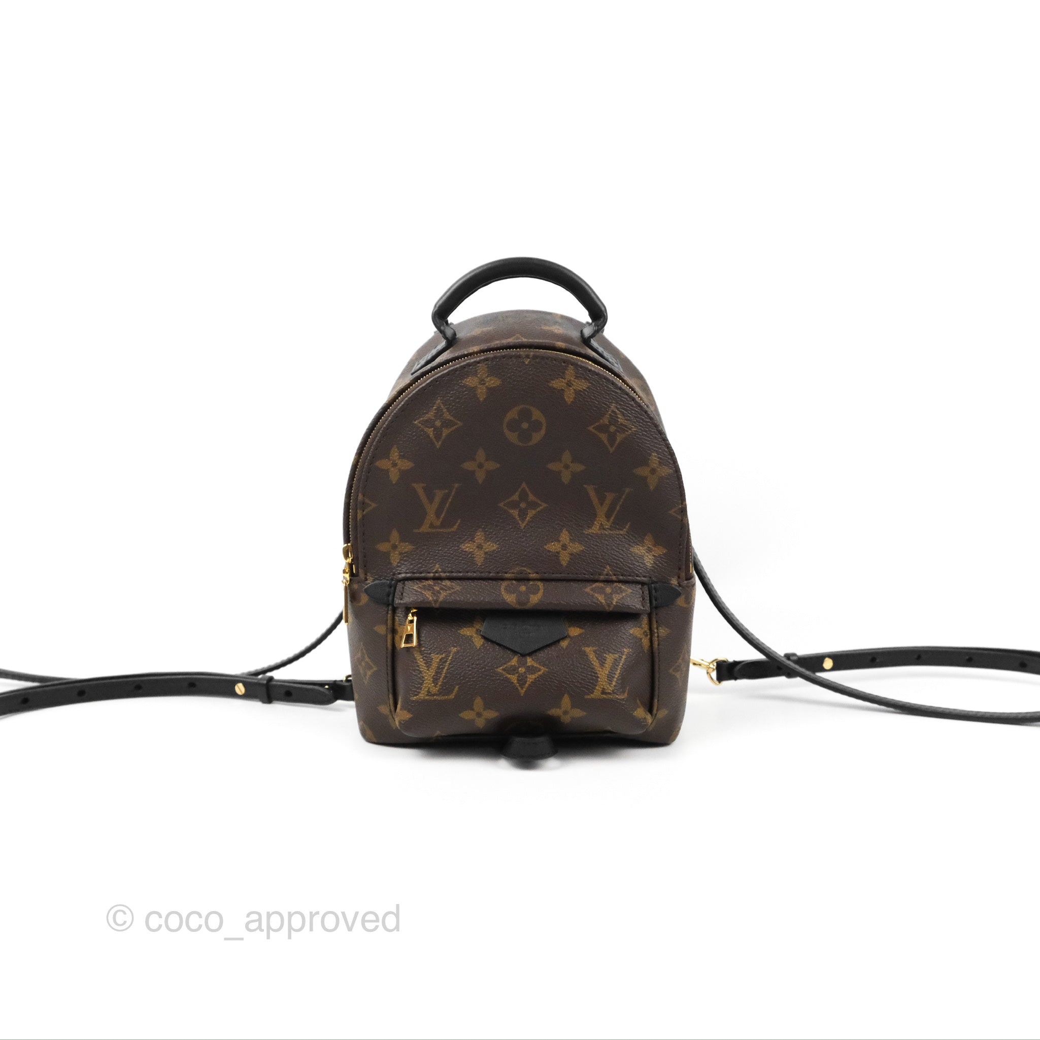 black mini louis vuitton backpack Monogram Palm Springs or carry it by hand Louis Vuitton Pre-Owned Lockme Floral