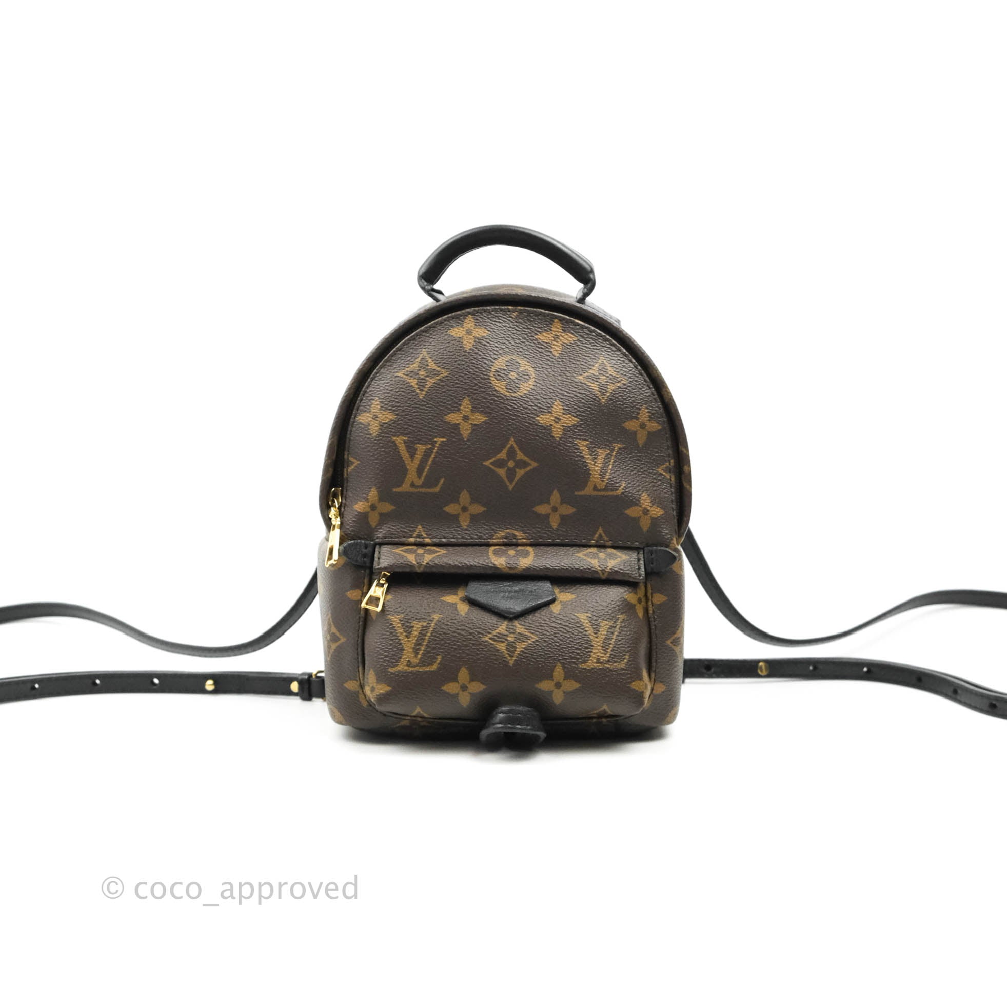 Louis Vuitton Monogram Brassley Palm Spring Mini Backpack Motif Bracel