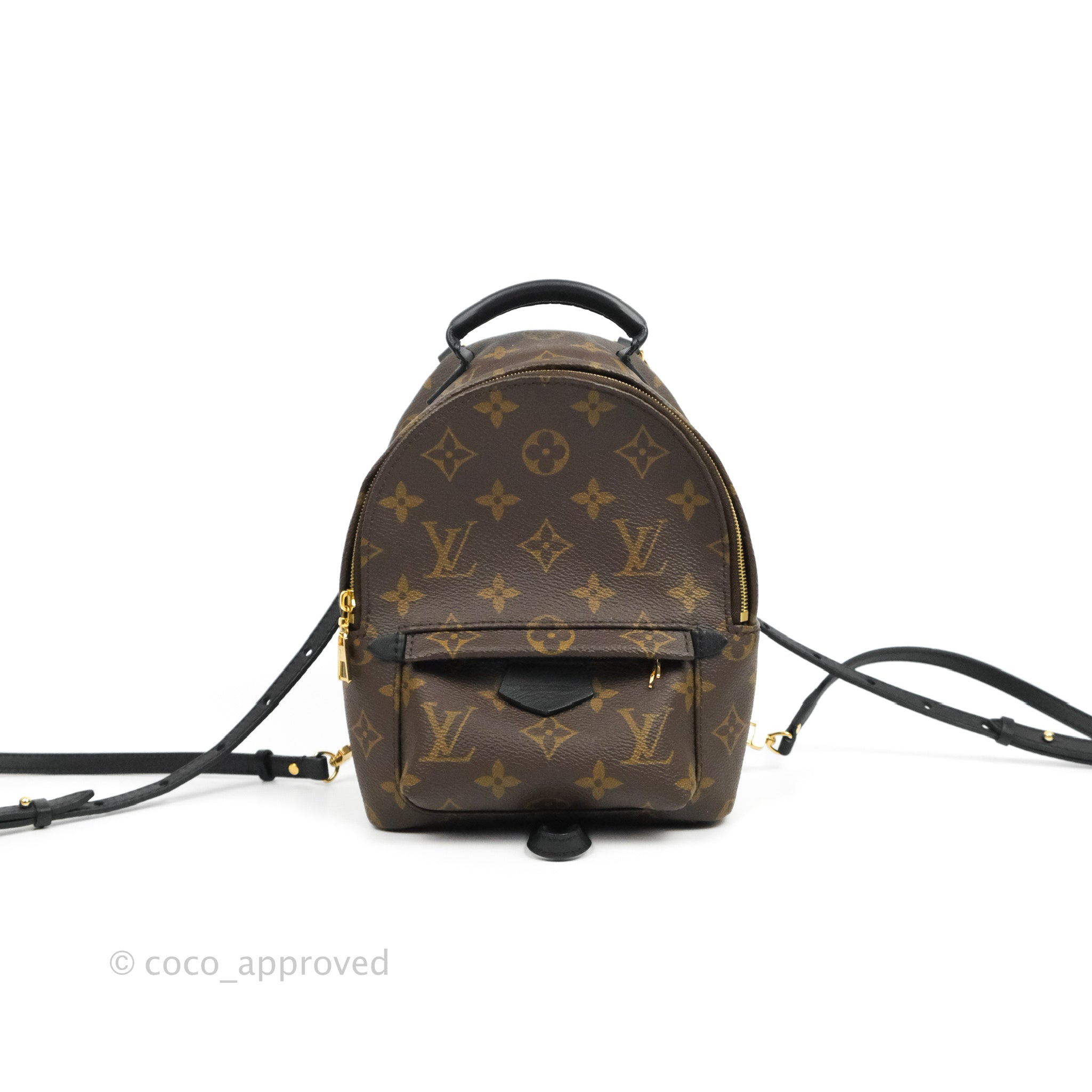 Louis Vuitton Palm Spring Backpack Monogram Canvas Mini Cloth ref.1006270 -  Joli Closet