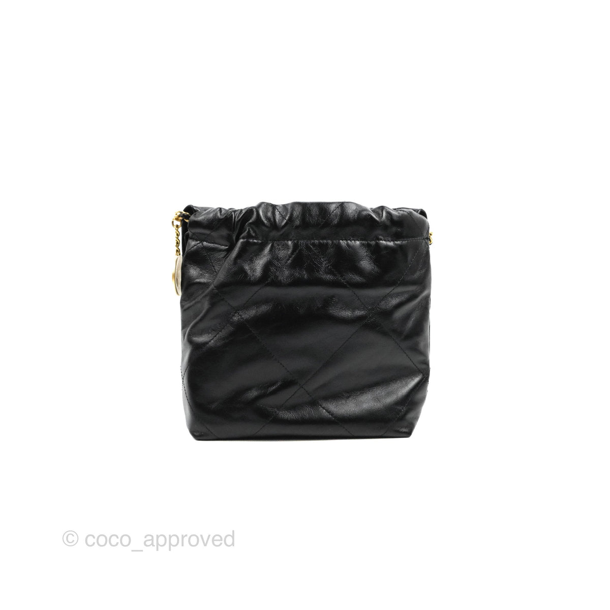 Chanel 22 Mini Bag with Pearl Chain Black Shiny Crumpled Calfskin – Coco  Approved Studio