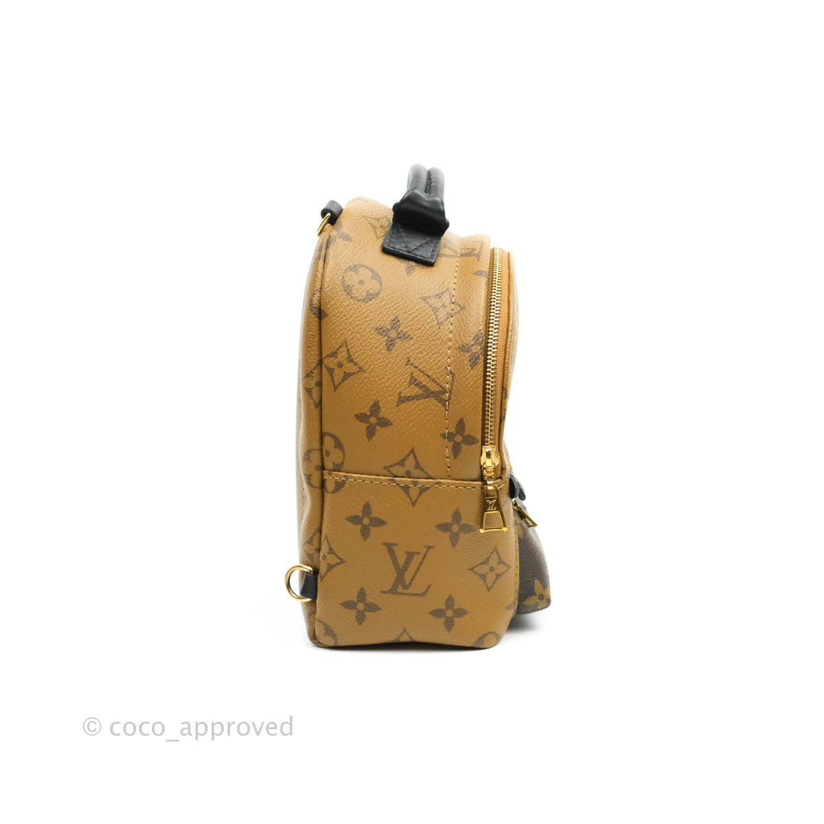LOUIS VUITTON Reverse Monogram Palm Springs Backpack Mini 172164