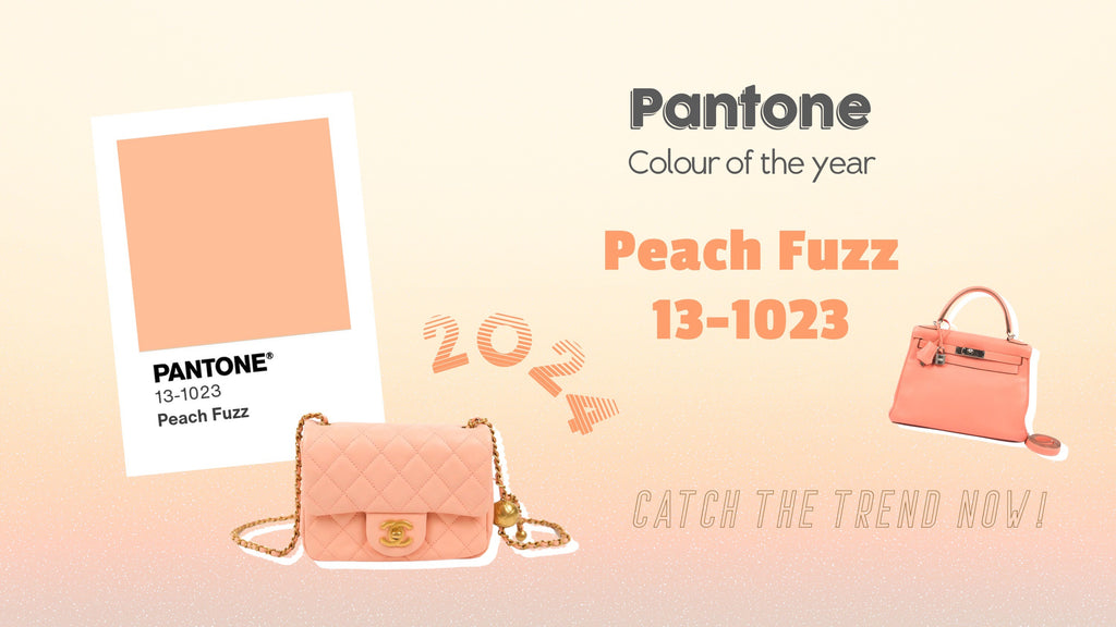 Pantone Colour of the Year 2024 Peach Fuzz on luxury handbag!