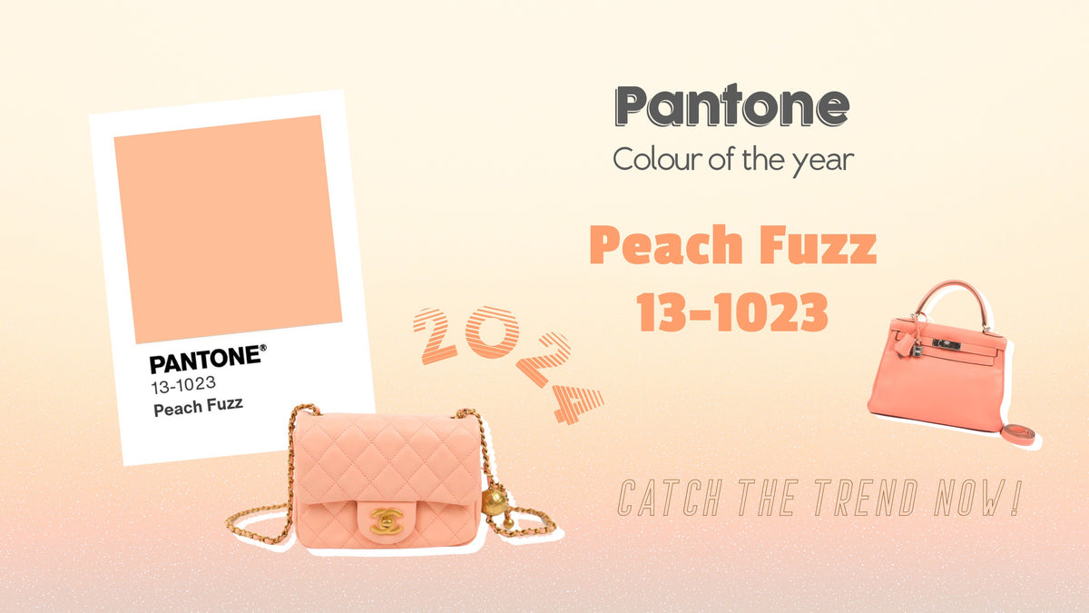 Pantone Colour Of The Year 2024 Peach Fuzz On Luxury Handbag Coco   IMG 7449 1200x1200 