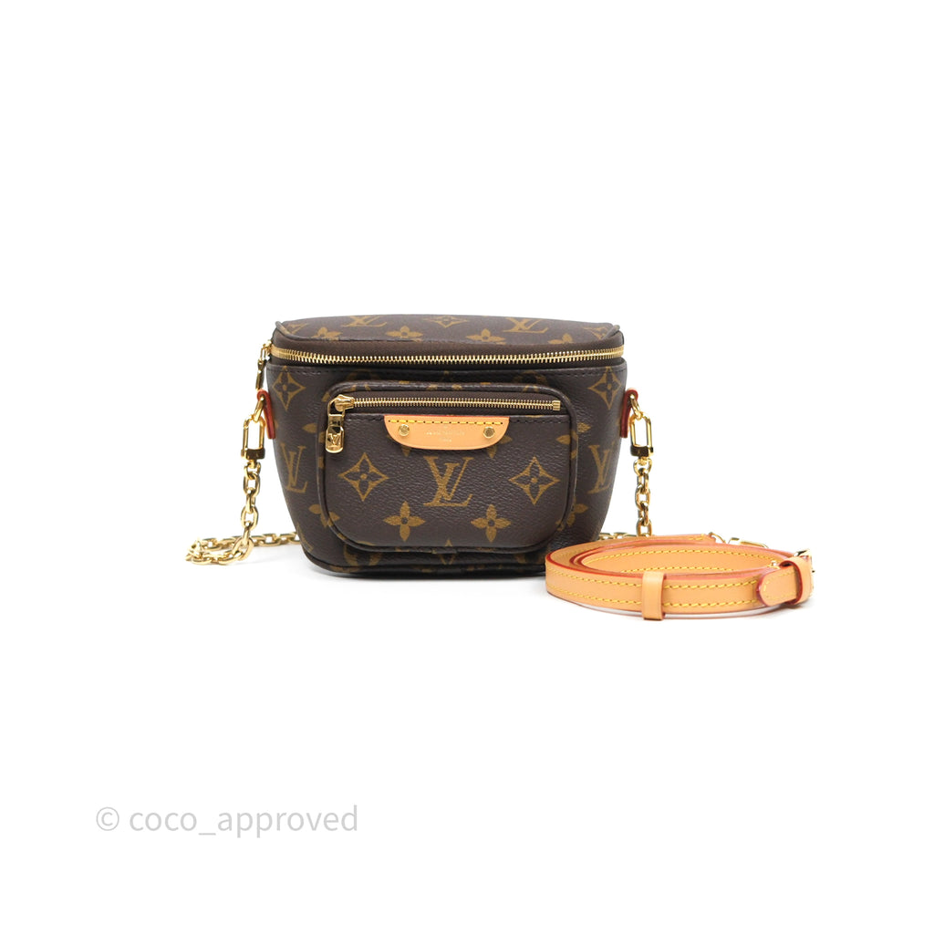Louis Vitton Mini Bumbag in Monogram Canvas