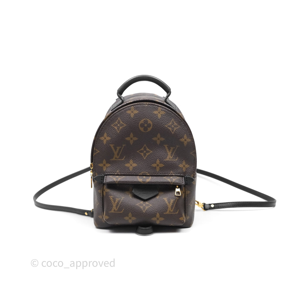 Louis Vuitton Mini Palm Springs Backpack Monogram