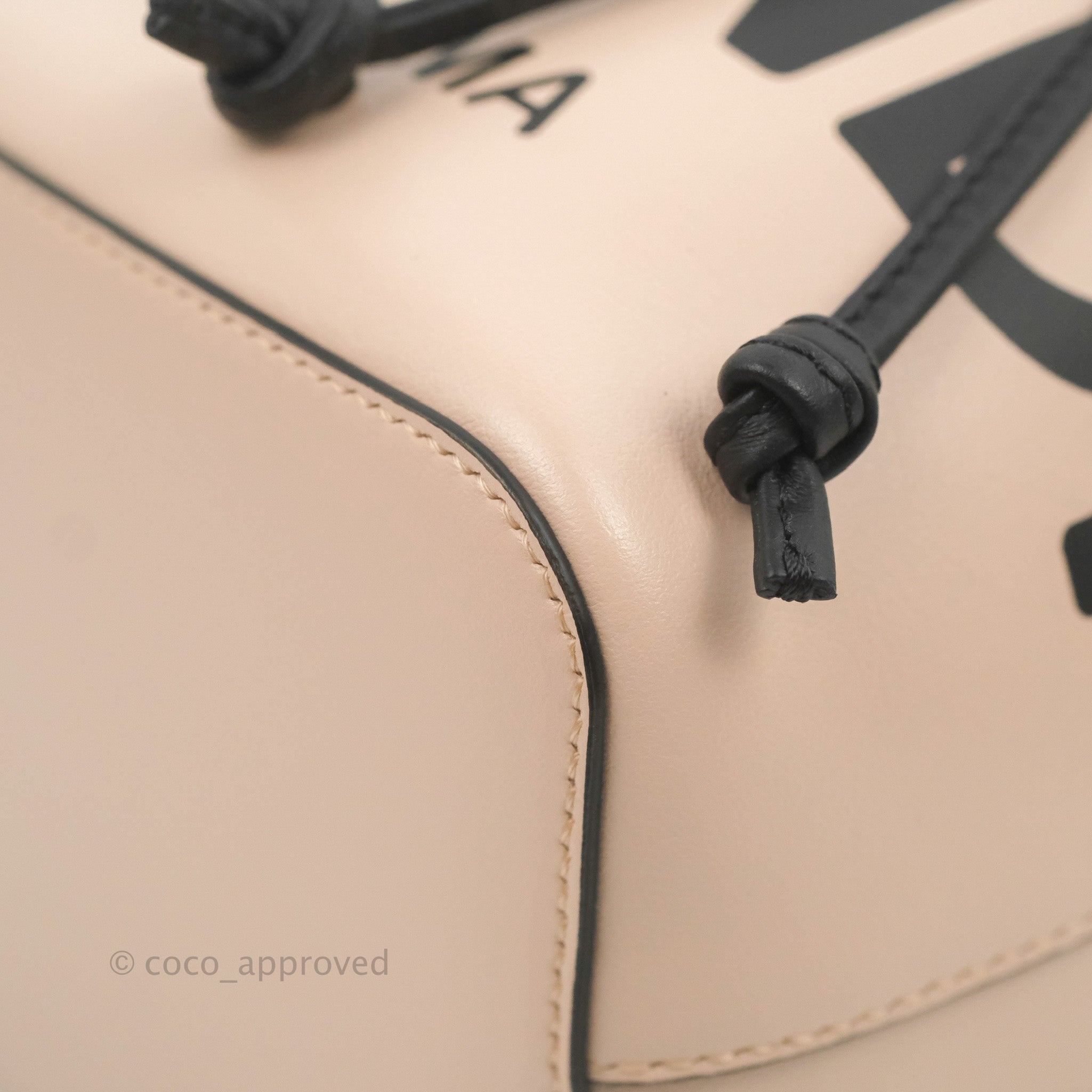Pin by Gigi T. on Backpack love  Fendi mon tresor, Leather bucket