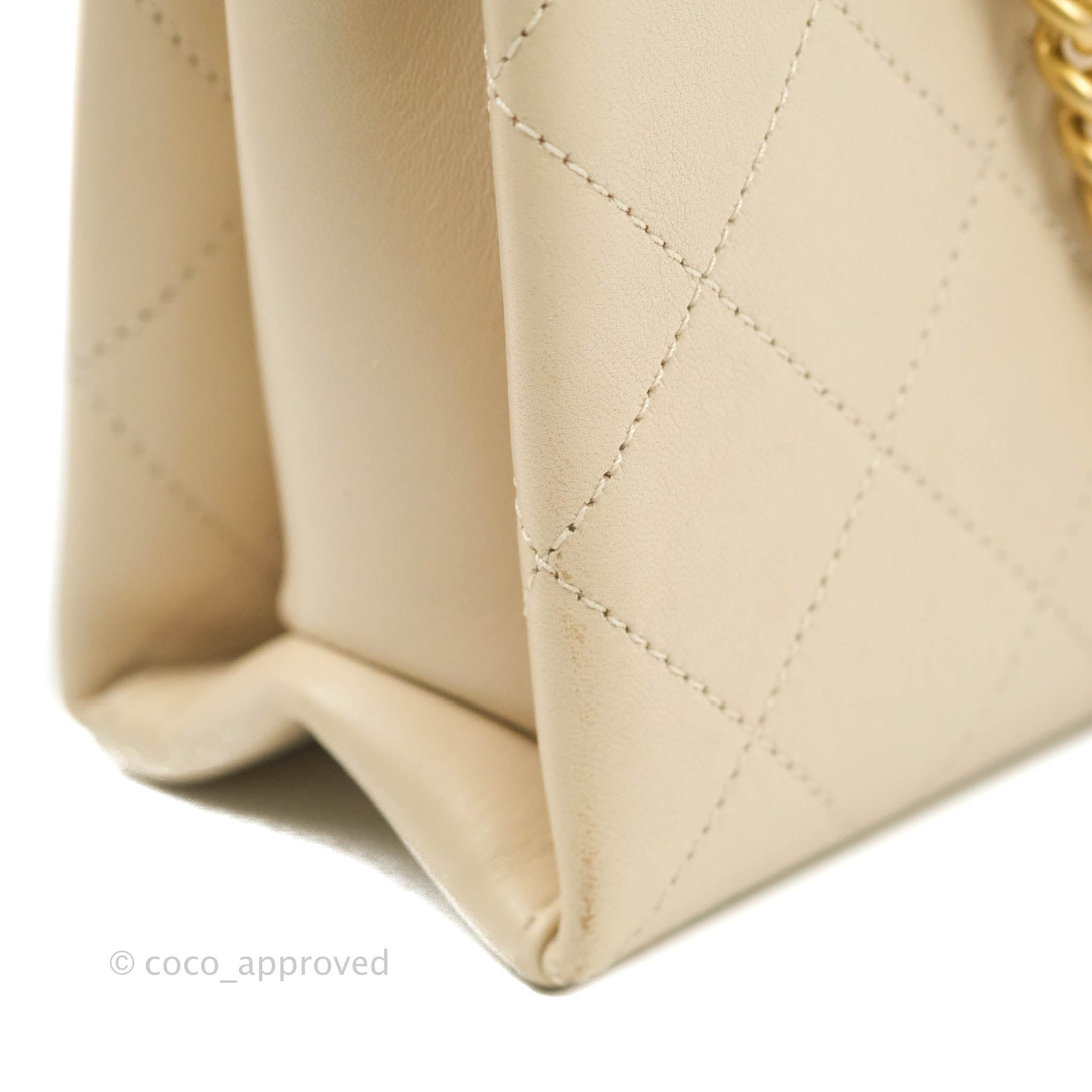 cocoapprovedhk_instock Chanel Flat Quilted Coco Luxe Large
