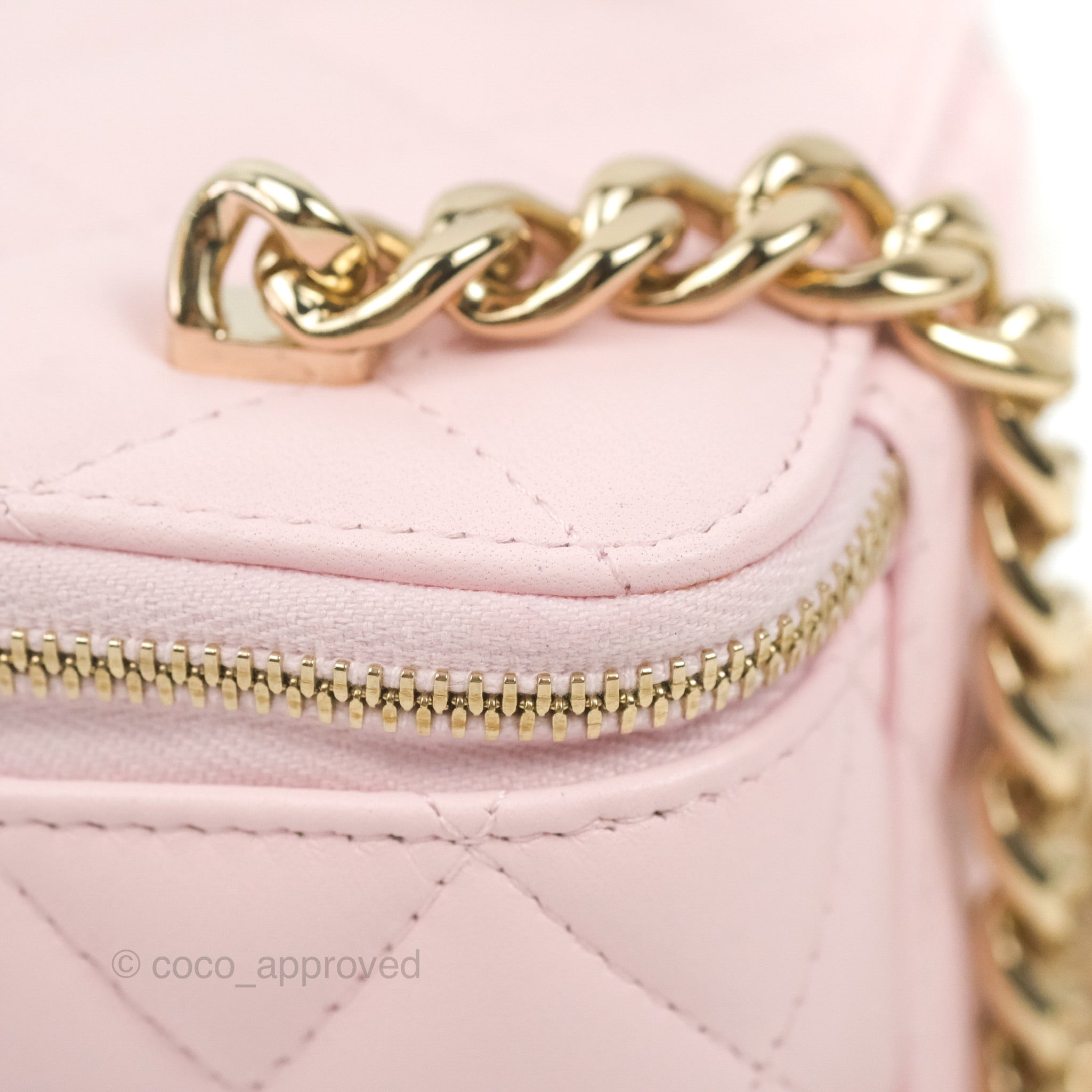 Chanel Small Vanity Case Pink Shearling Lambskin Gold Hardware 22A – Coco  Approved Studio
