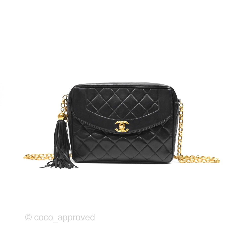 Chanel Vintage Diana Fringe Camera Bag Black Lambskin 24K Gold Hardware