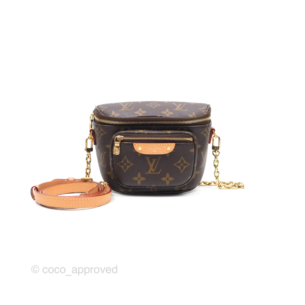 Louis Vitton Mini Bumbag in Monogram Canvas