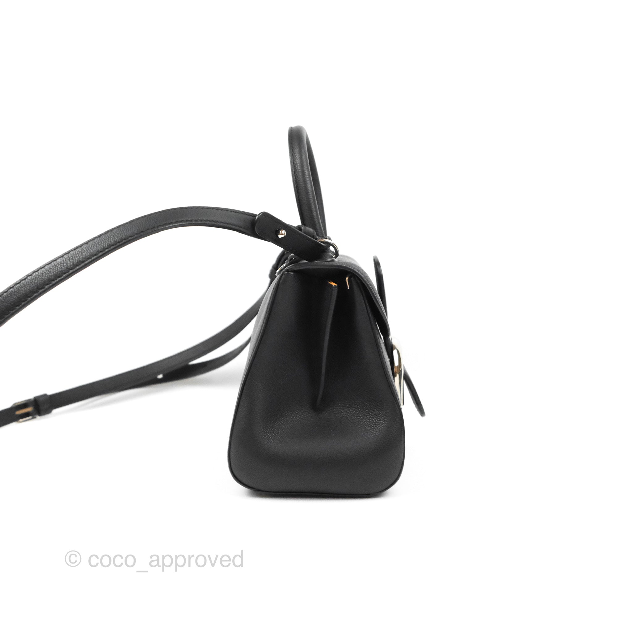 Delvaux Mini Brillant Bag Vegetal Rodeo Black Calf Silver Hardware