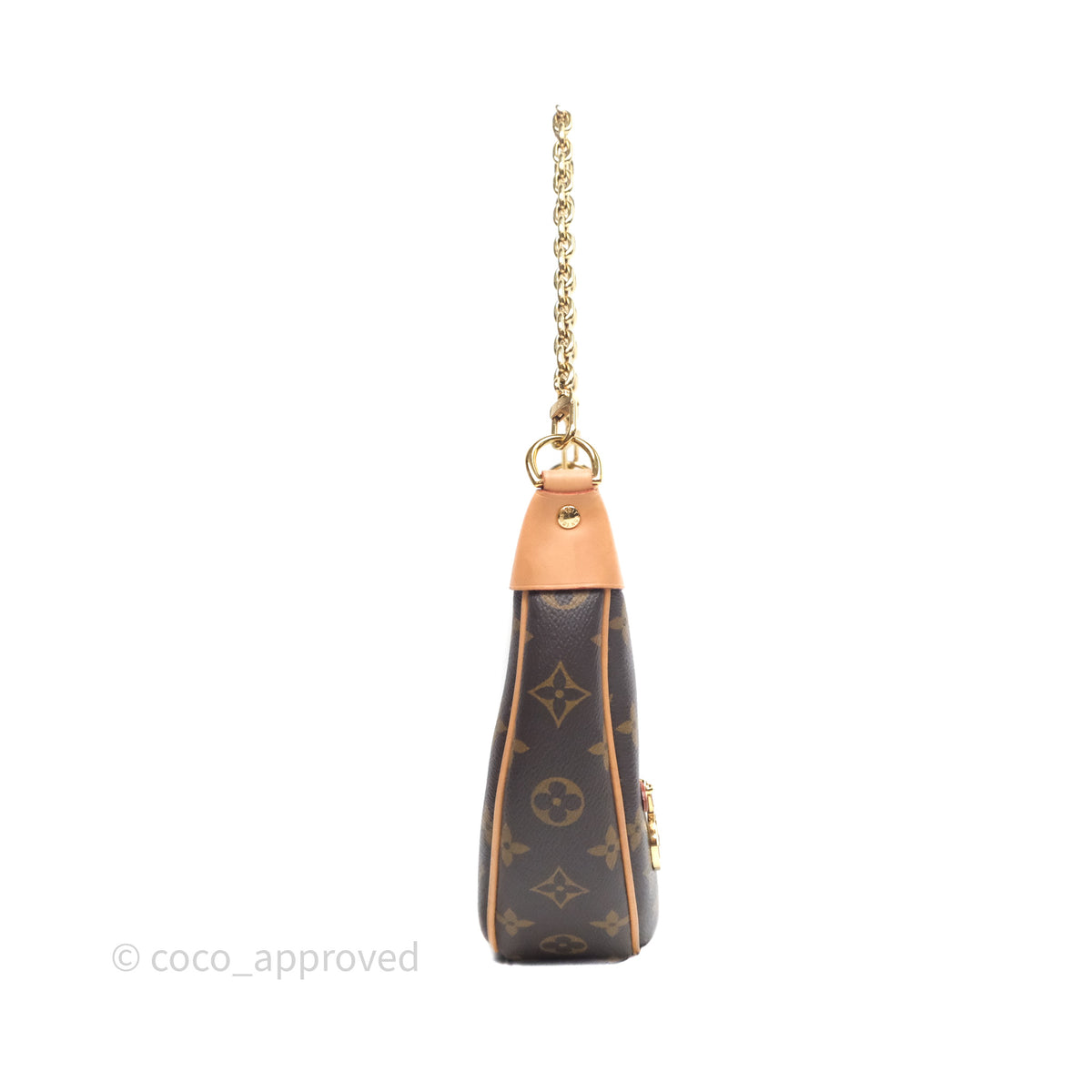 Louis Vuitton Loop Monogram Canvas – Coco Approved Studio