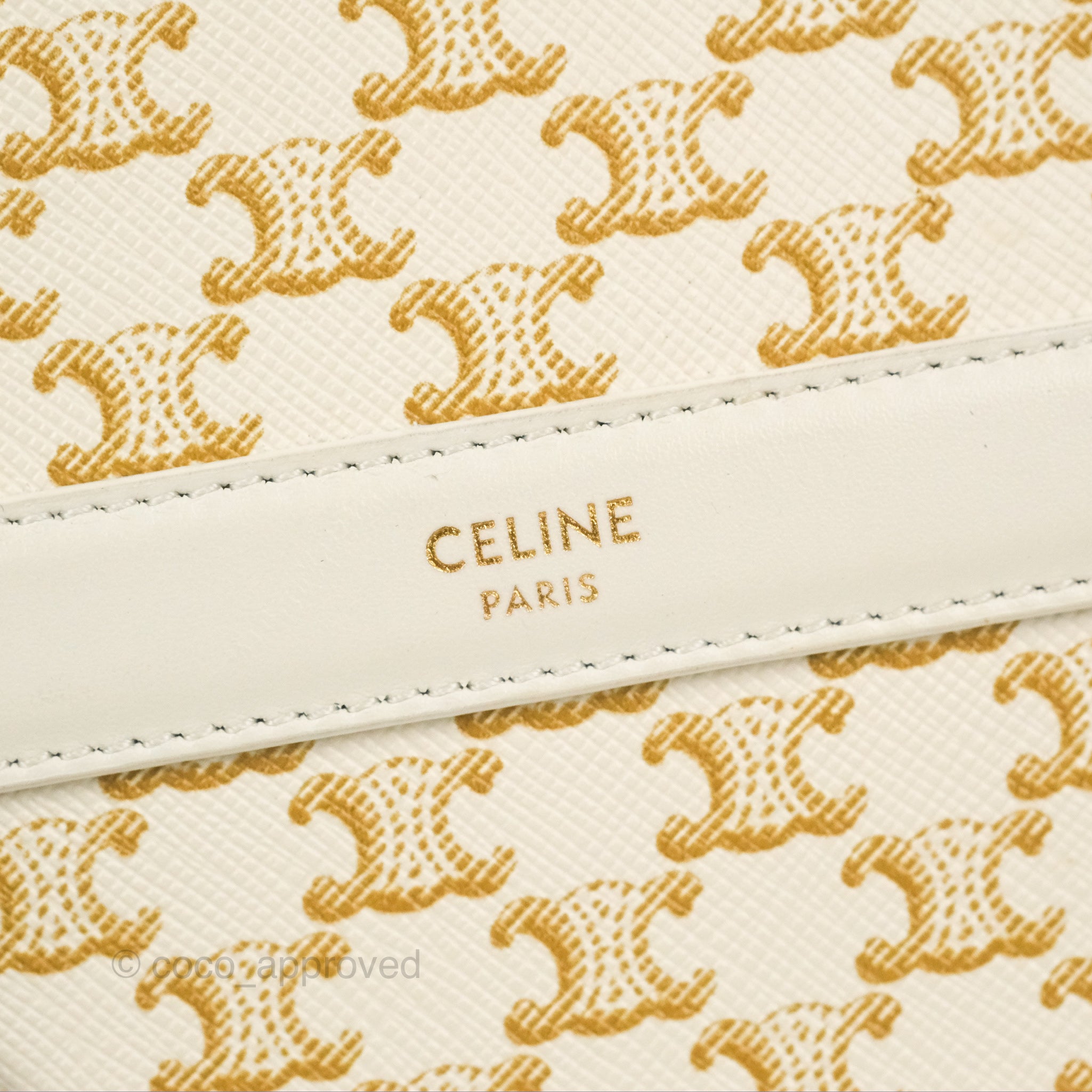 Celine's Triomphe Bag Already Has The Stamp Of Approval From These