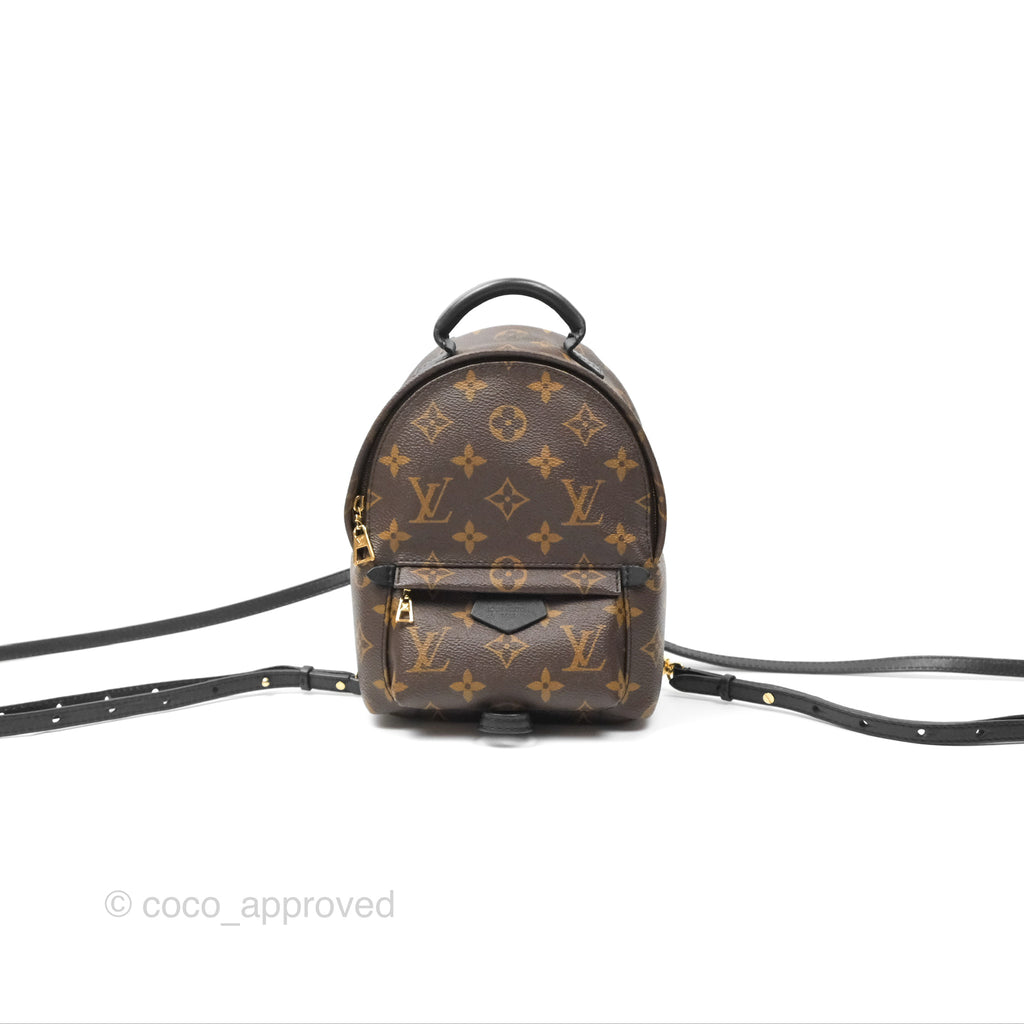 Louis Vuitton Mini Palm Springs Backpack⁣ Monogram Canvas