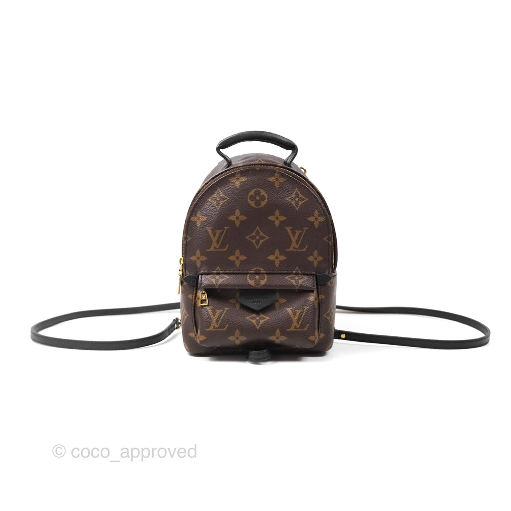 Louis Vuitton Monogram Mini Palm Springs Backpack⁣