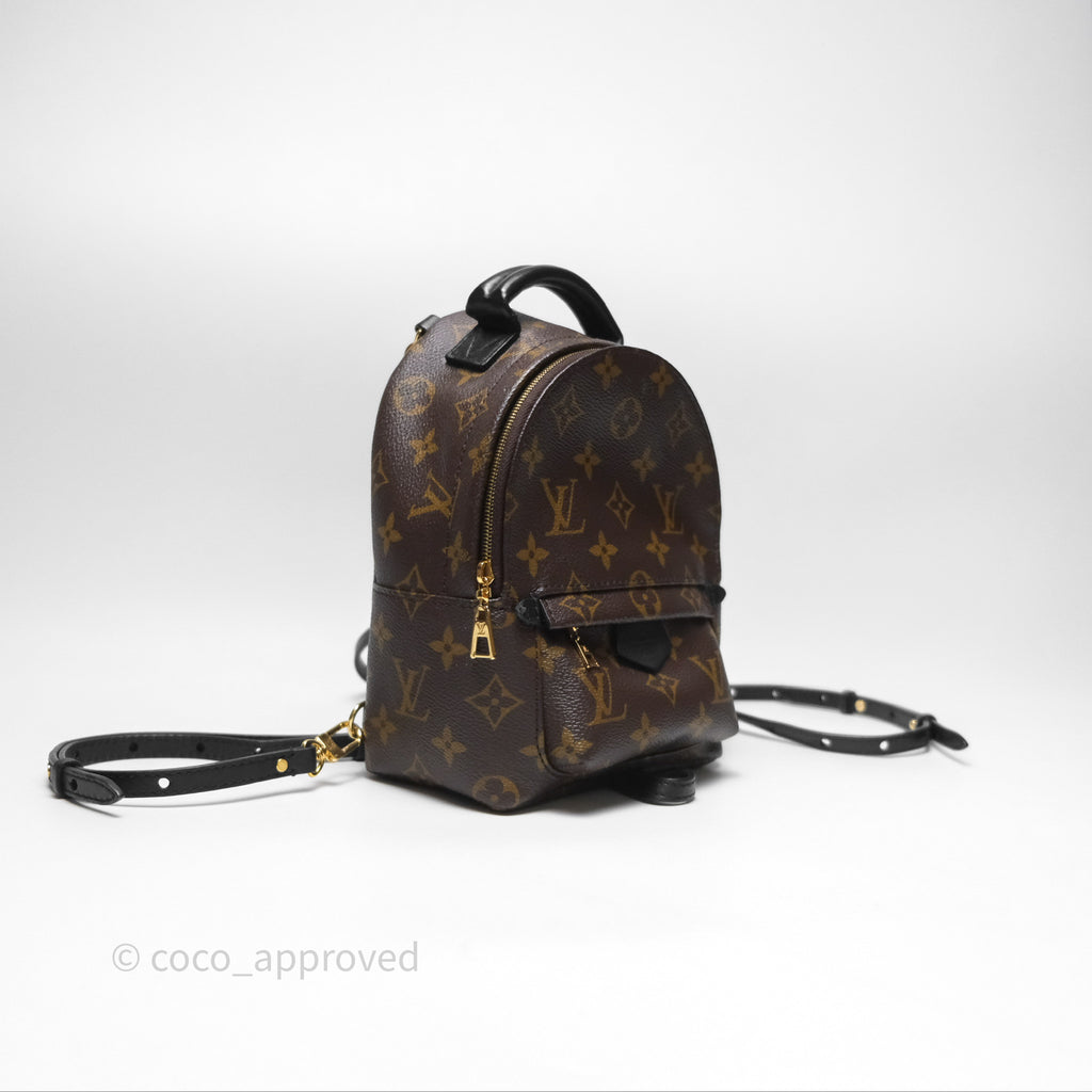 Louis Vuitton Monogram Mini Palm Springs Backpack⁣