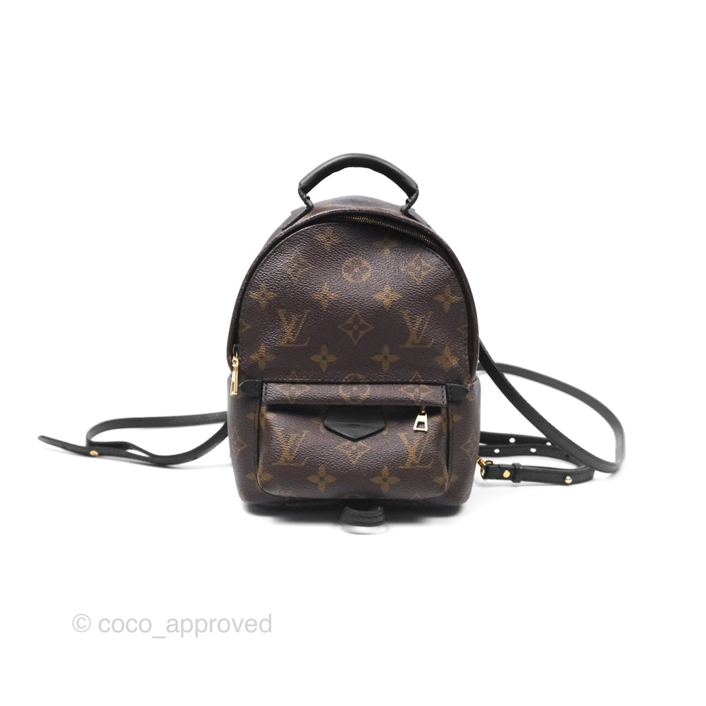 Louis Vuitton Monogram Mini Palm Springs Backpack⁣