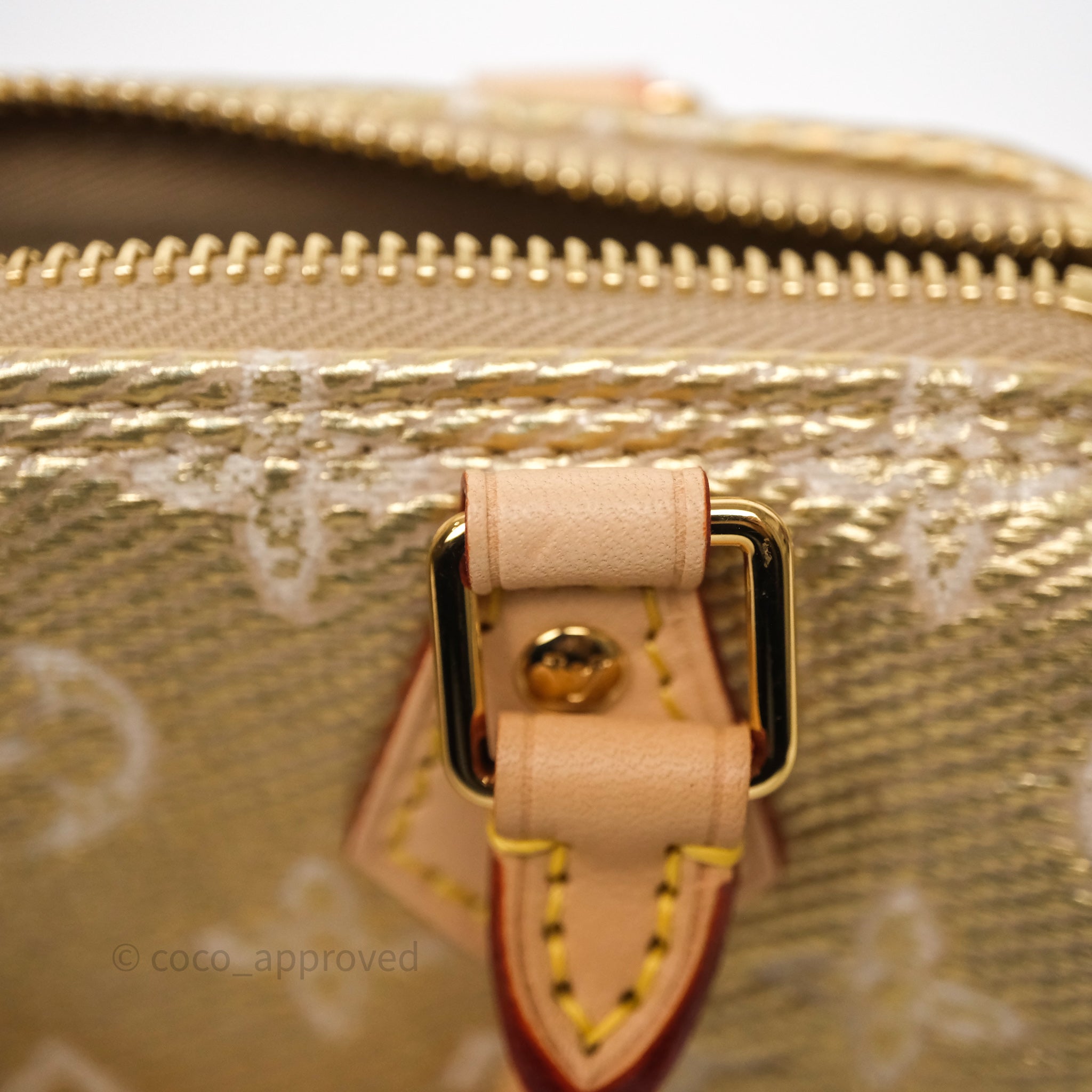 Louis Vuitton Nano Speedy Monogram Gold Jacquard Fabric – Coco