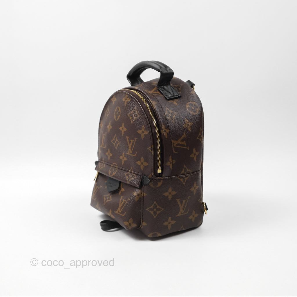 Louis Vuitton Monogram Mini Palm Springs Backpack⁣