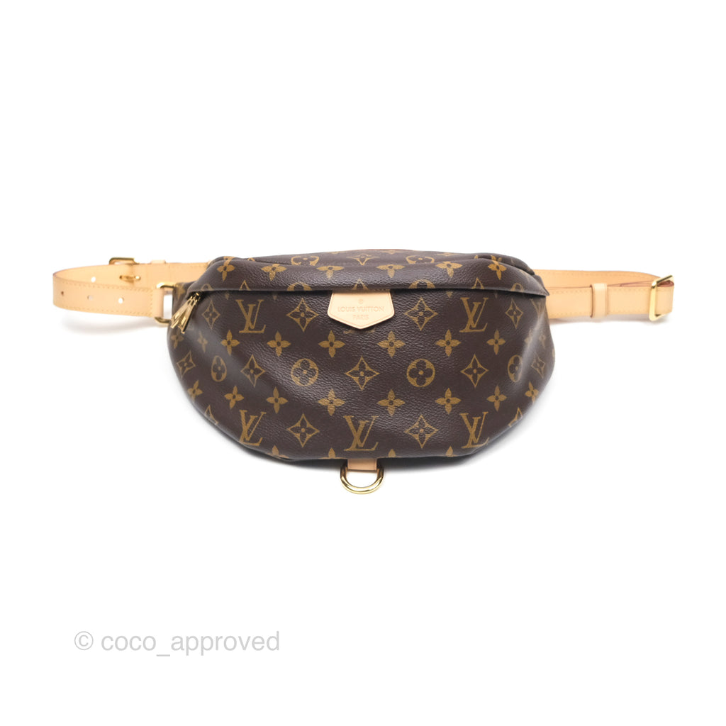 Louis Vuitton Bum Bag Monogram Canvas