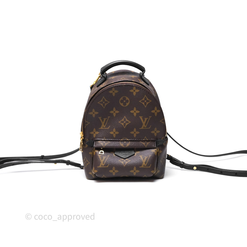 Louis Vuitton Mini Palm Springs Backpack⁣ Monogram