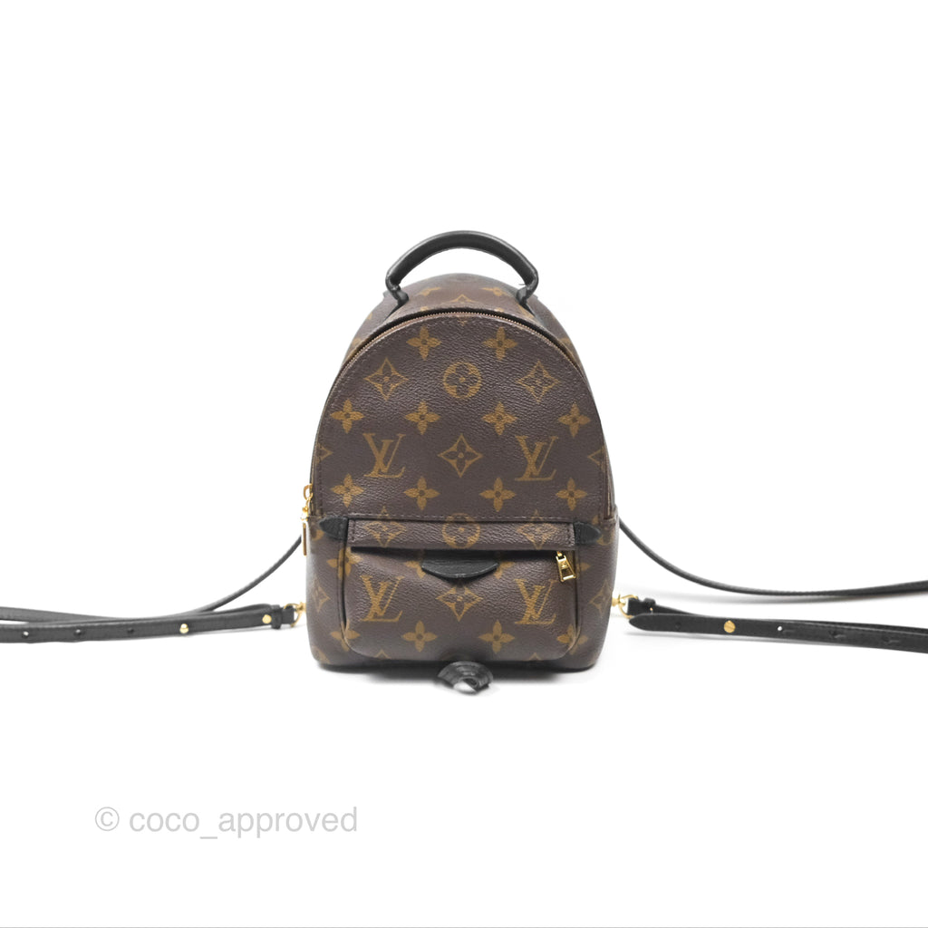 Louis Vuitton Mini Palm Springs Backpack⁣ Monogram