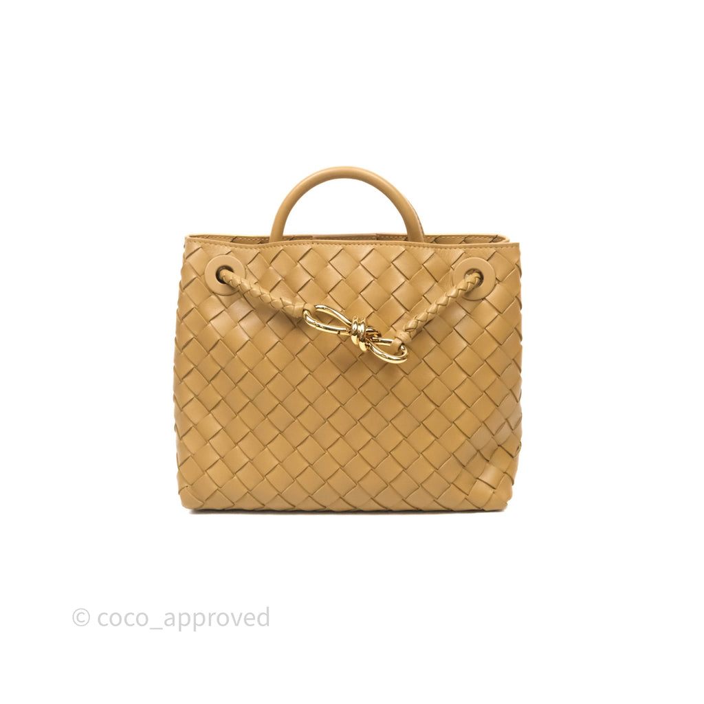 Bottega Veneta Small Andiamo Bag Dark Praline Intrecciato Lambskin