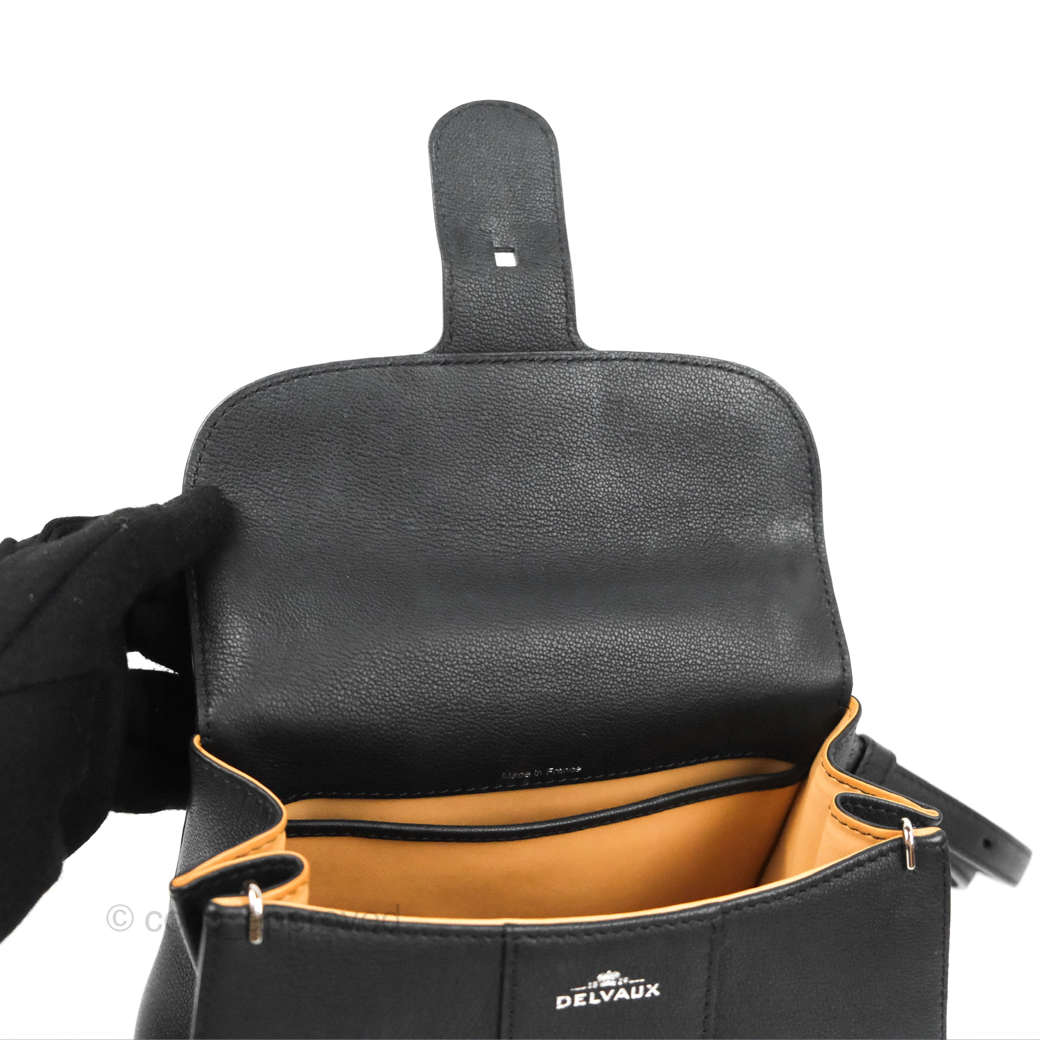 Delvaux Brillant Mini Vegetal Rodeo Bag - Ivory Caramel Leather ref.214775  - Joli Closet