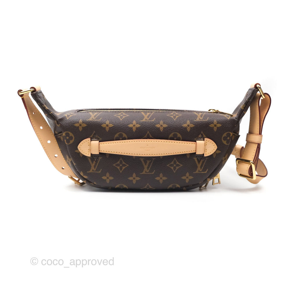 Louis Vuitton Bumbag Monogram Canvas