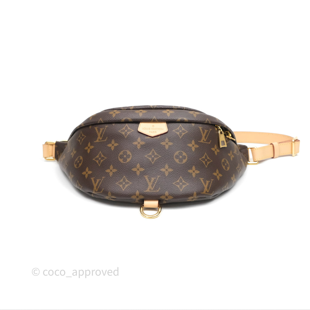 Louis Vuitton Bum Bag Monogram Canvas