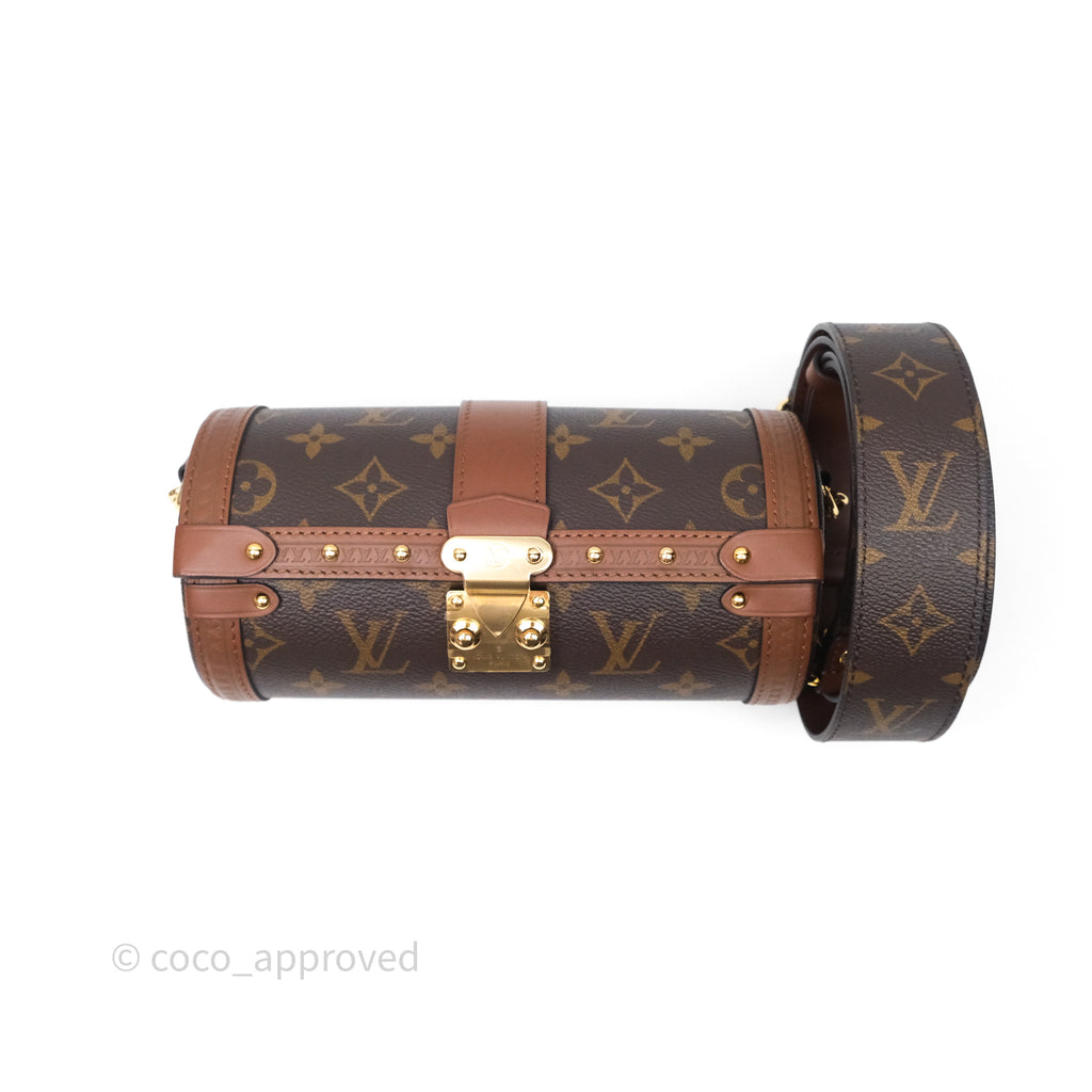 Louis Vuitton Papillon Trunk Monogram Coated Canvas