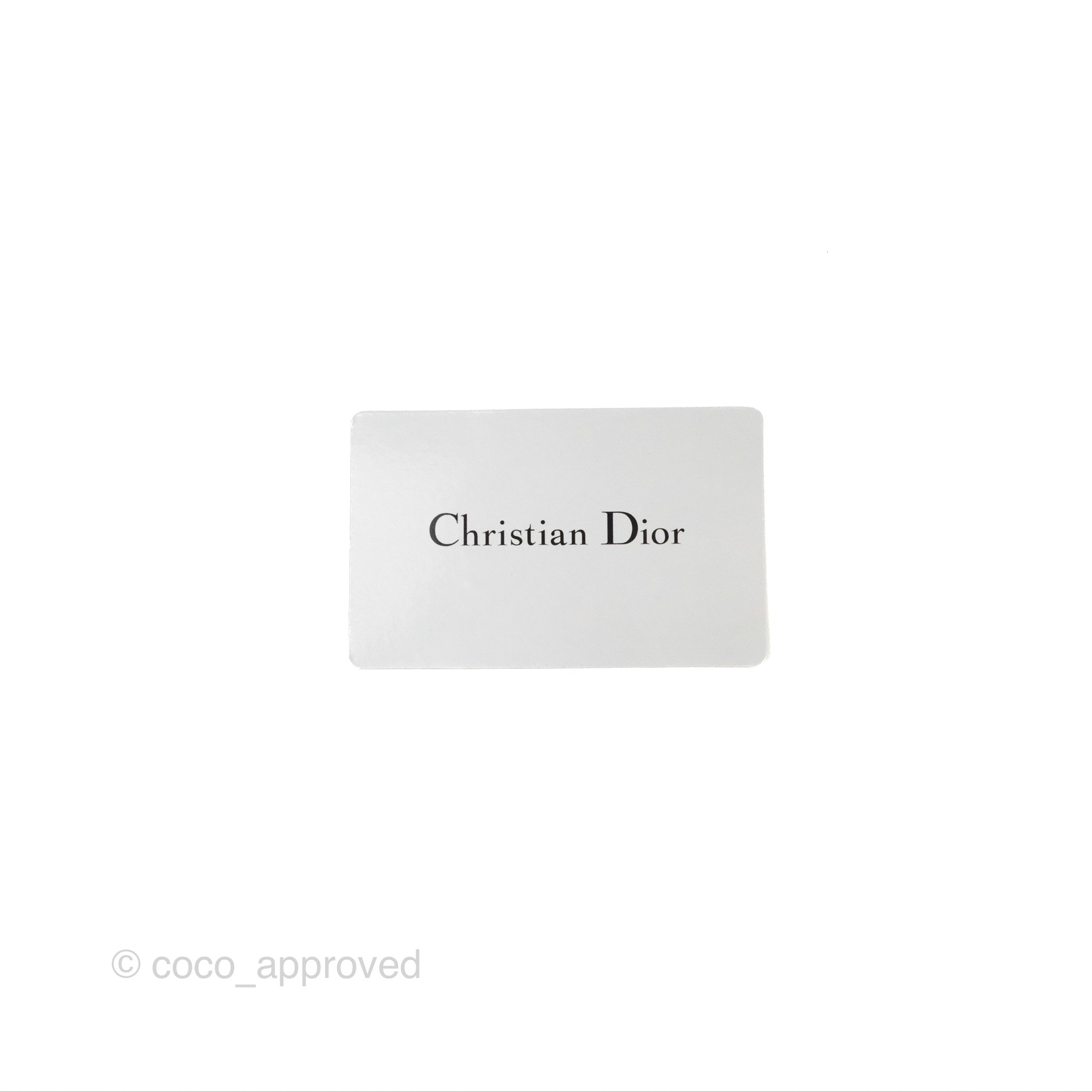Christian Dior Small Diortravel Vanity Case Cloud Blue Lambskin
