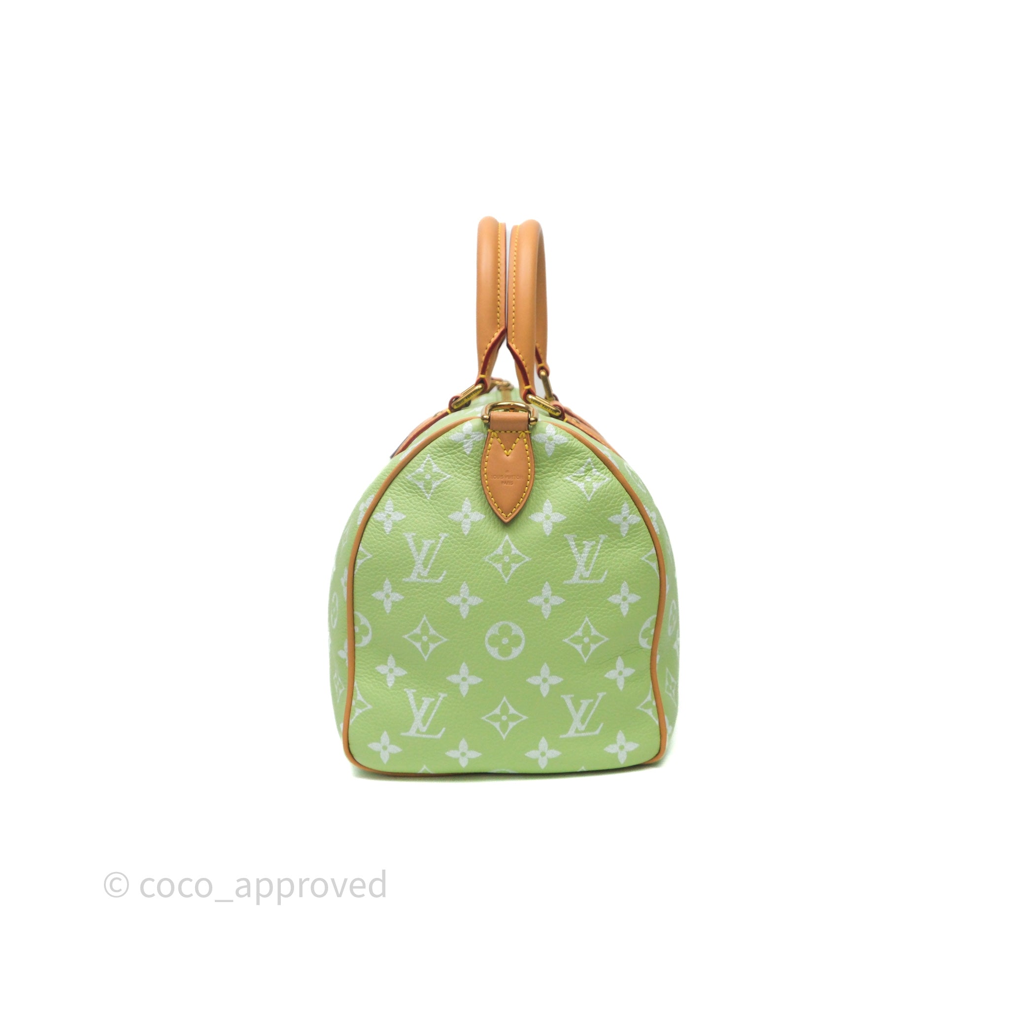 Louis Vuitton Speedy P9 Bandouliere 30 Vert Clair Bag – Coco