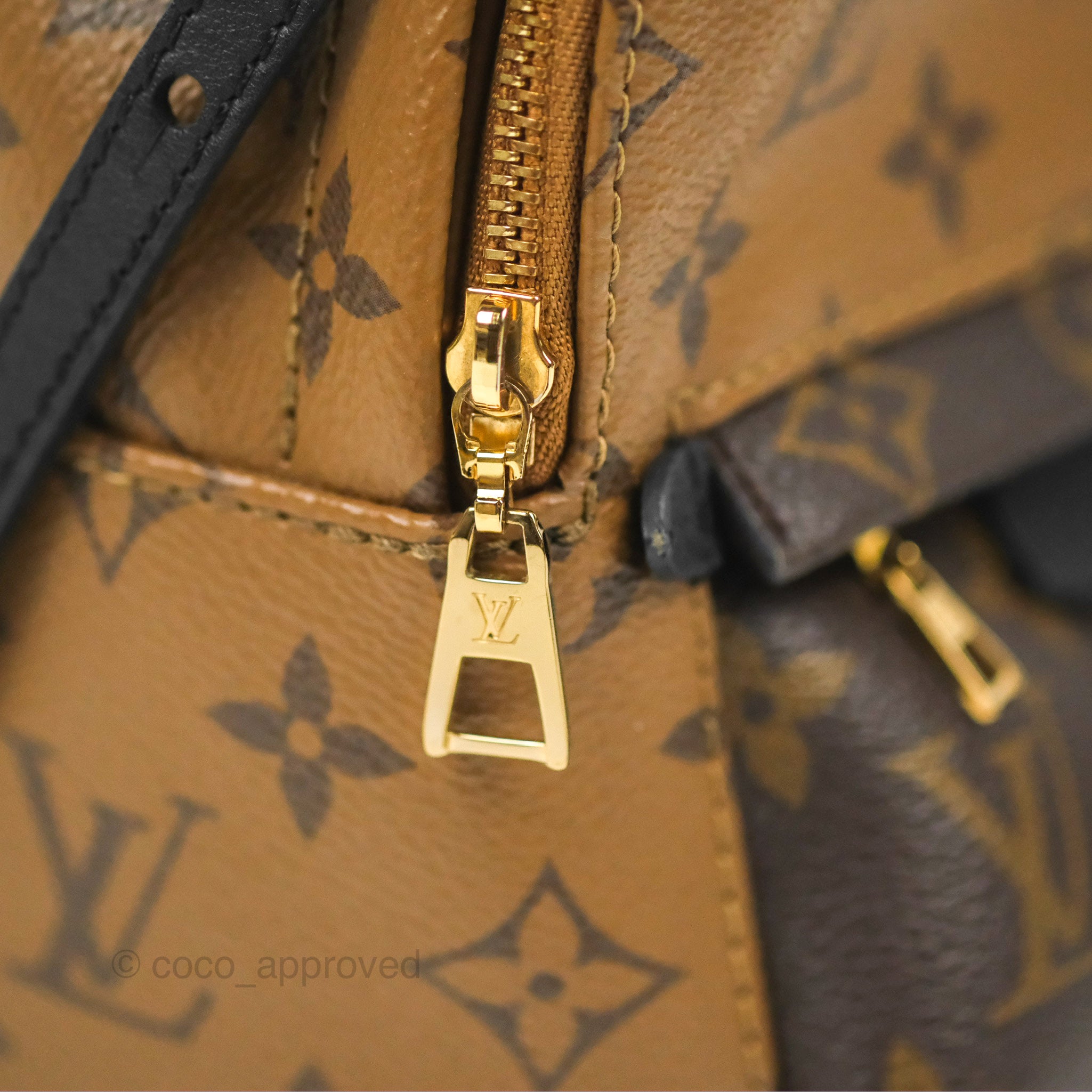 Louis Vuitton Reverse Monogram Canvas Palm Springs Mini Backpack