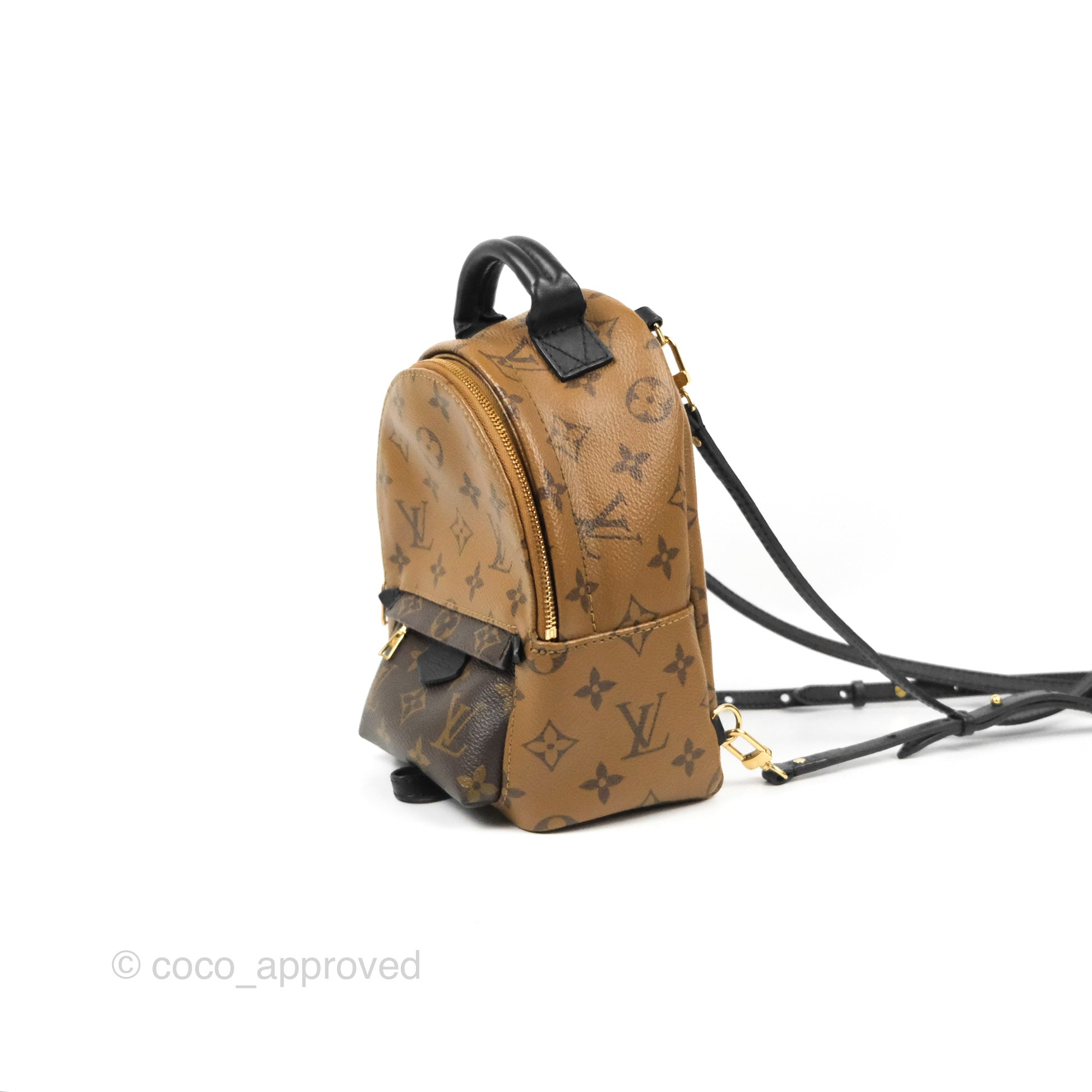 Louis Vuitton Mini Reverse Monogram Palm Springs Backpack⁣ – Coco Approved  Studio
