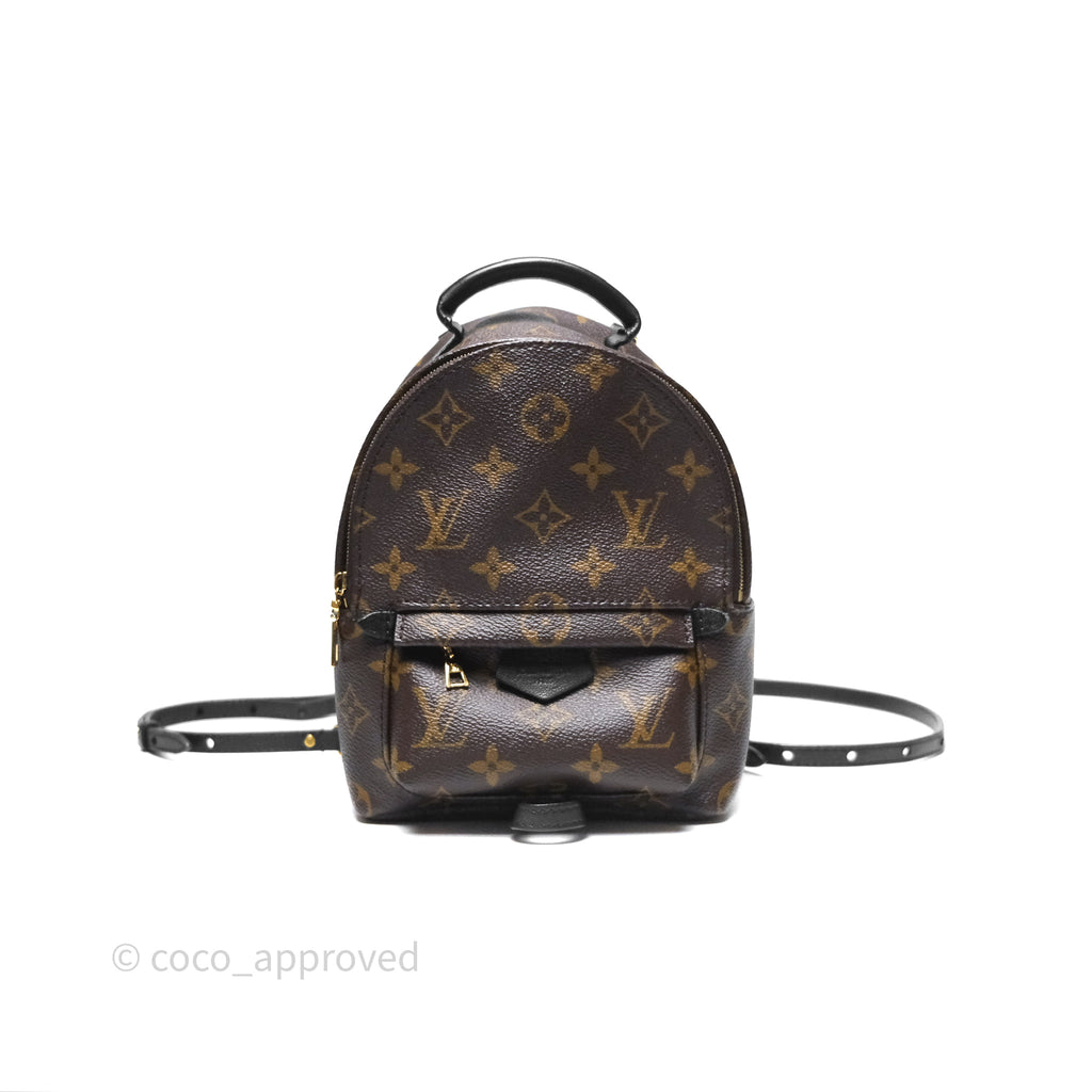 Louis Vuitton Monogram Mini Palm Springs Backpack⁣