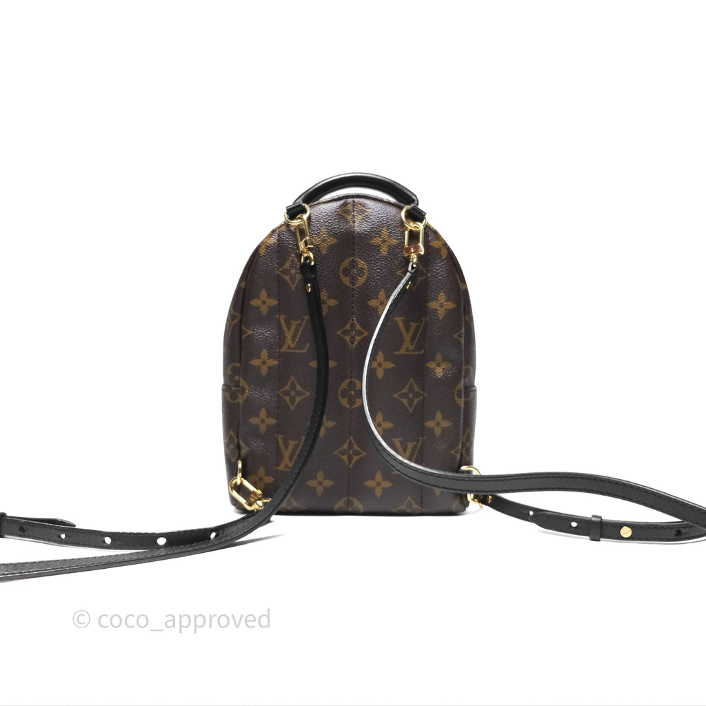 Louis Vuitton Monogram Mini Palm Springs Backpack⁣