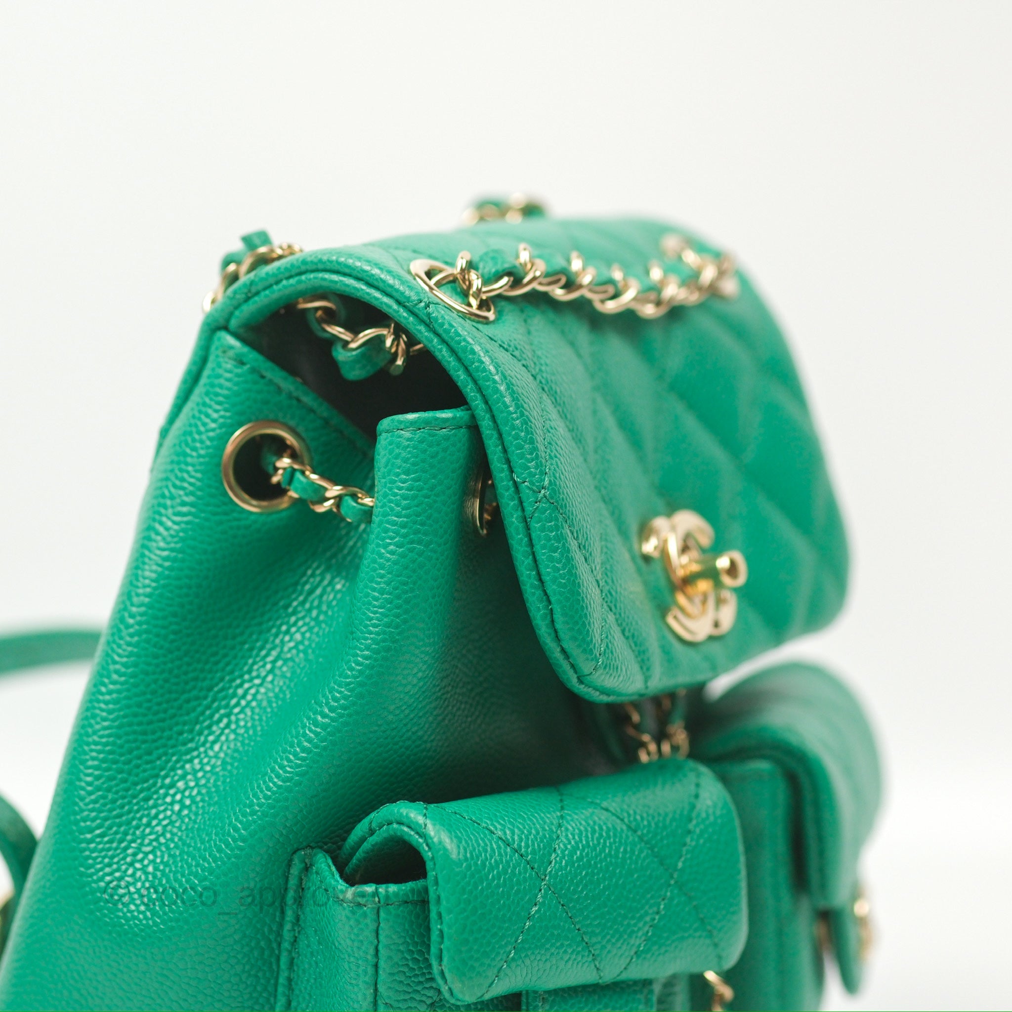 Chanel Duma Backpack Small Green Caviar Gold Hardware 23P  display picture 1
