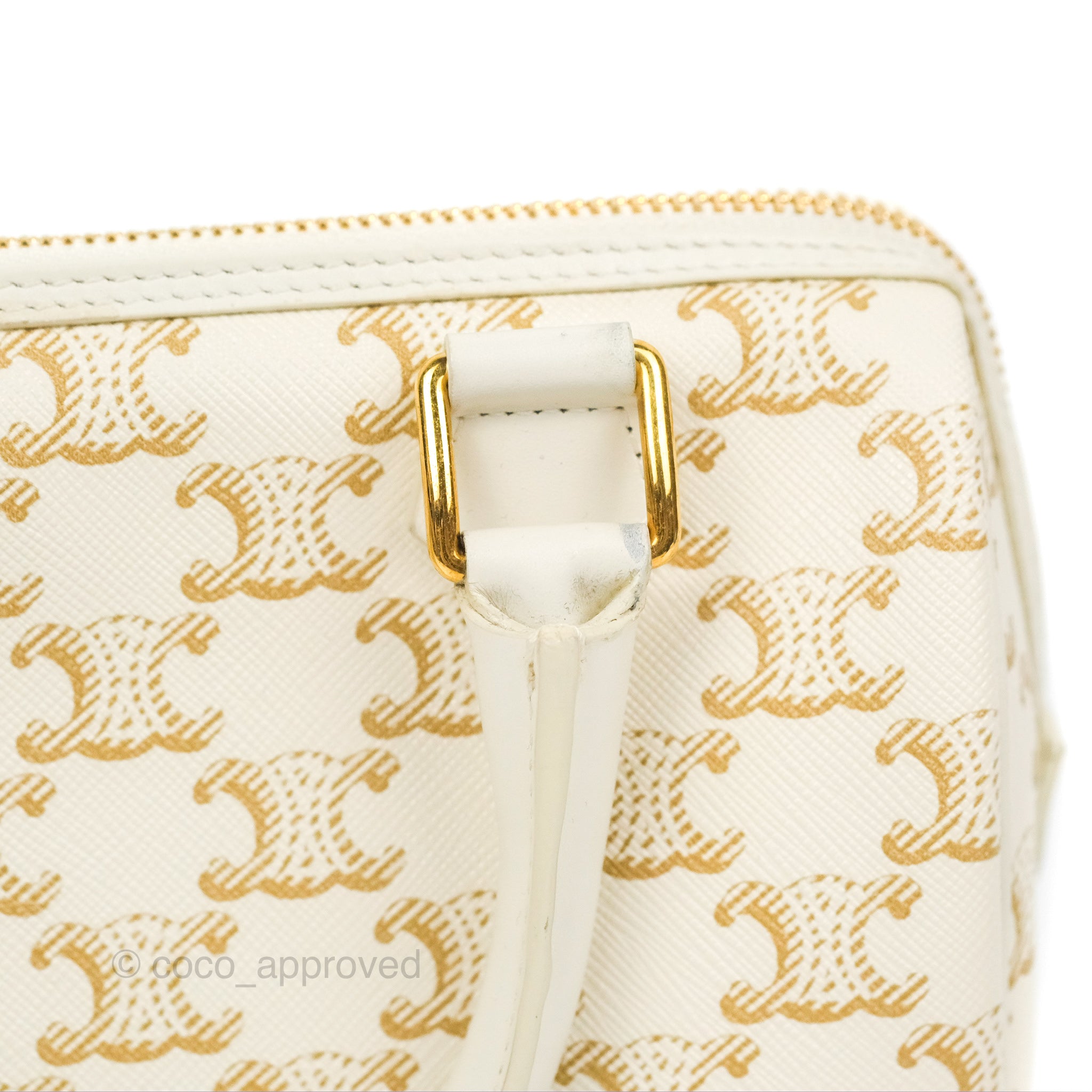 Team Celine Canvas 😎 Small Boston Bag (#celinebag #celinebyhedislimane  #luxuryhandbags ) 