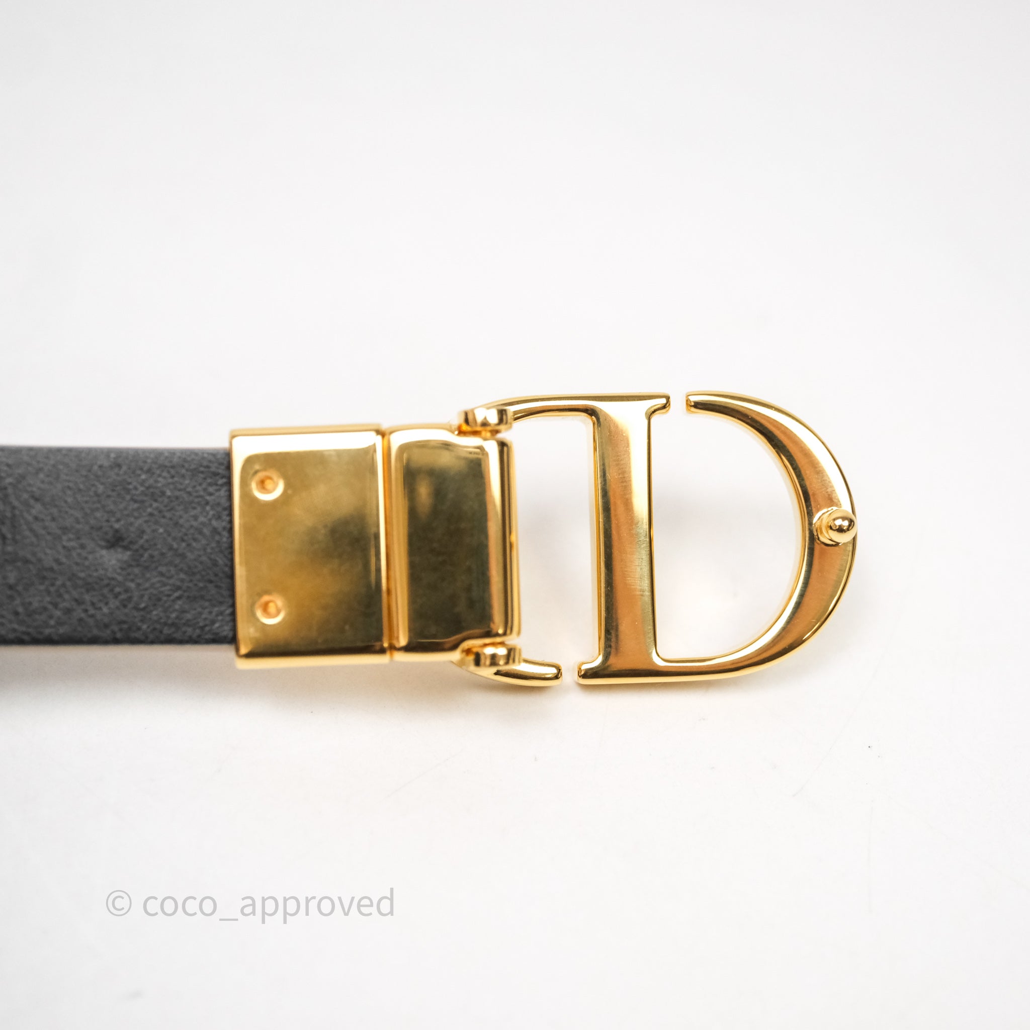 Dior 30 Montaigne Reversible Belt Hazelnut/Black Calfskin Gold