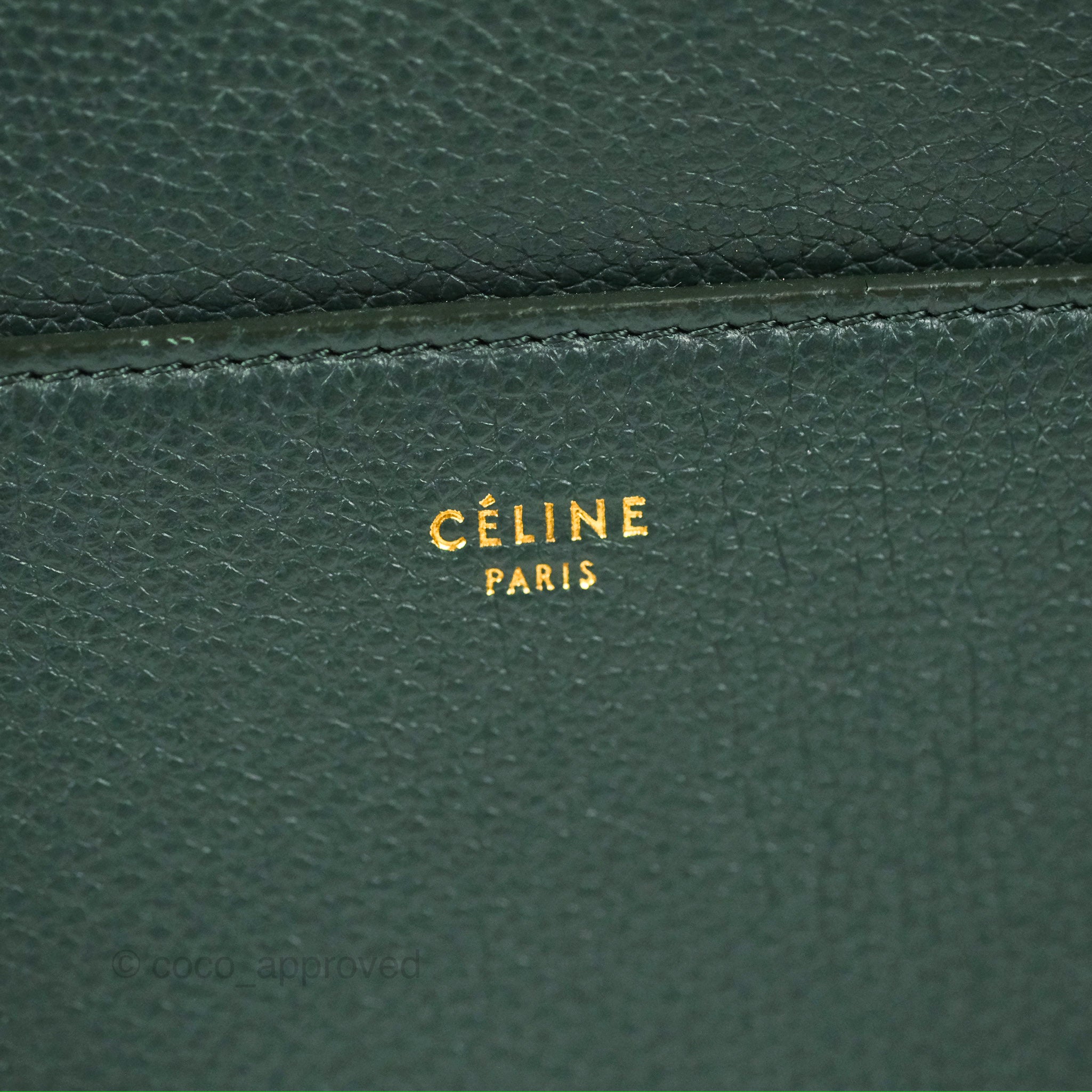 Celine 2025 sangle green