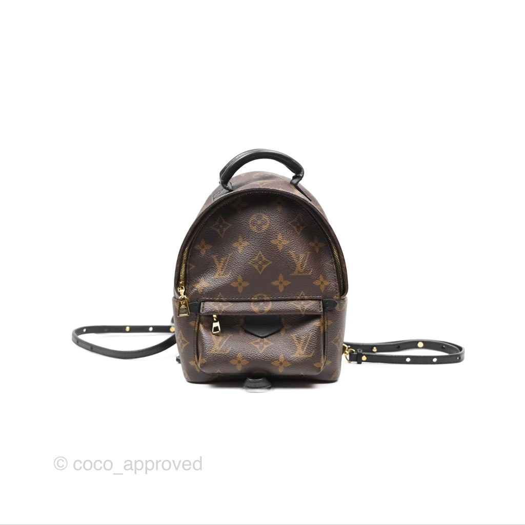 Louis Vuitton Mini Palm Springs Backpack⁣ Monogram