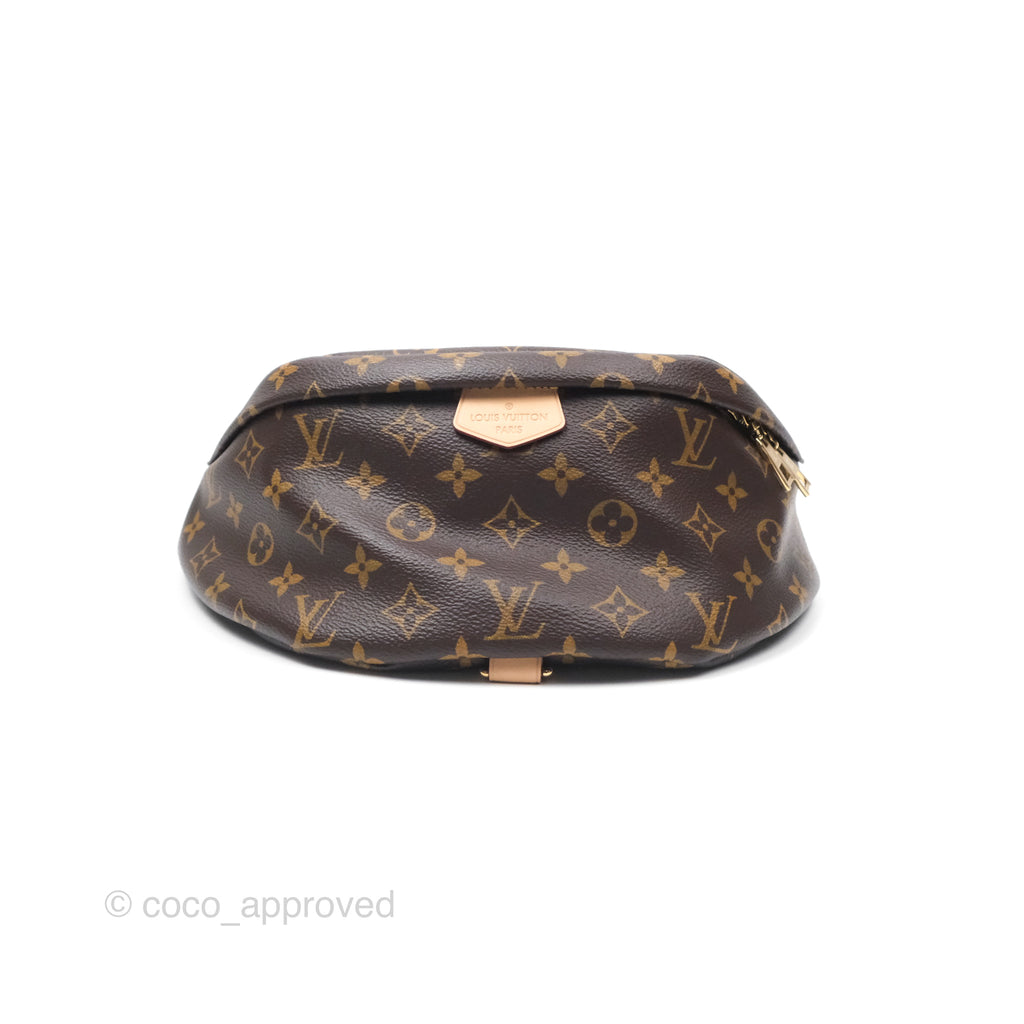 Louis Vuitton Bumbag Monogram Canvas