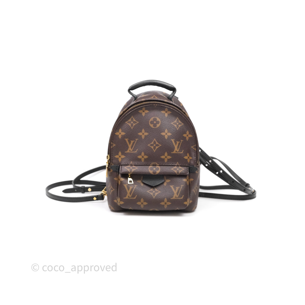 Louis Vuitton Mini Palm Springs Backpack Monogram