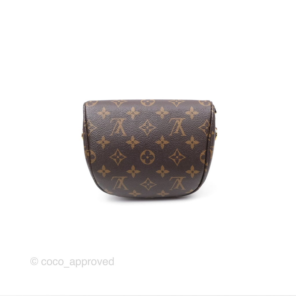 Louis Vitton Mini Bumbag in Monogram Canvas
