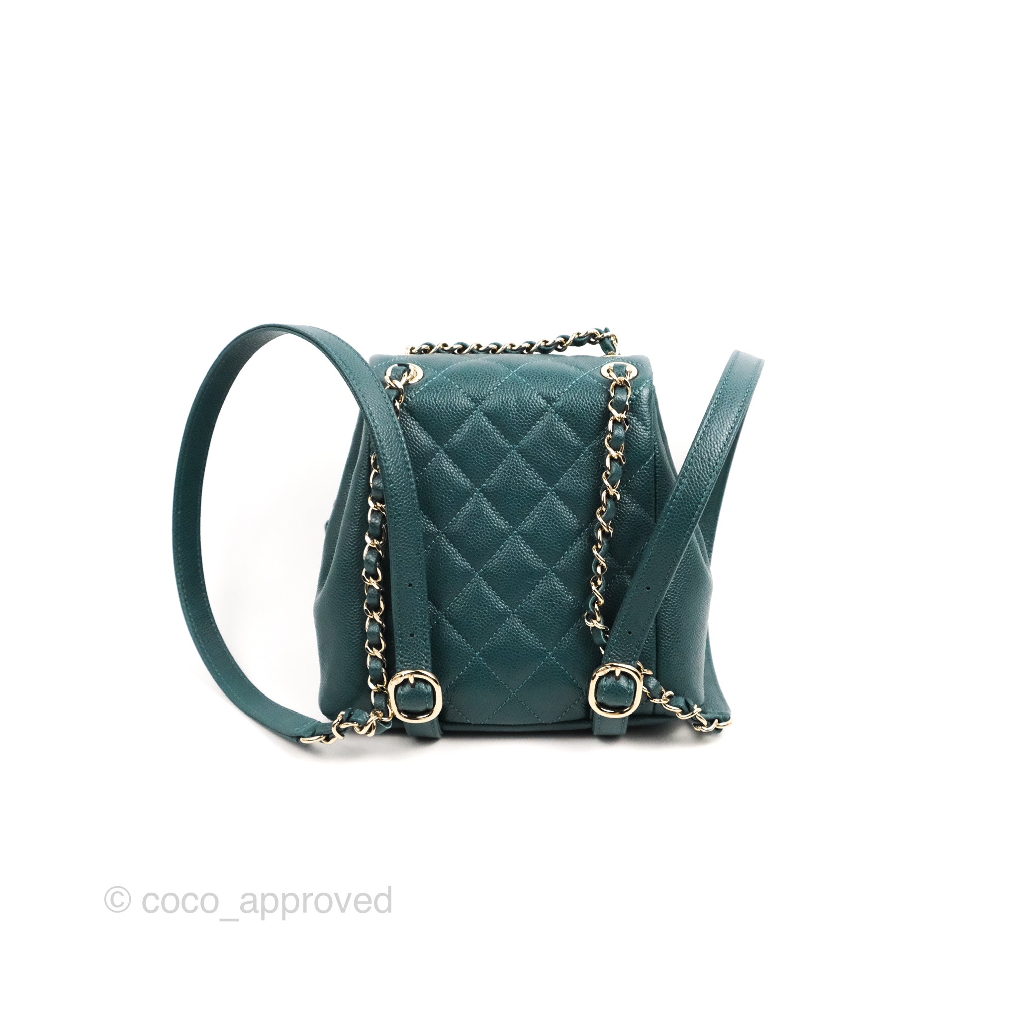 Chanel Green 2023 Small Hobo w/ Tags