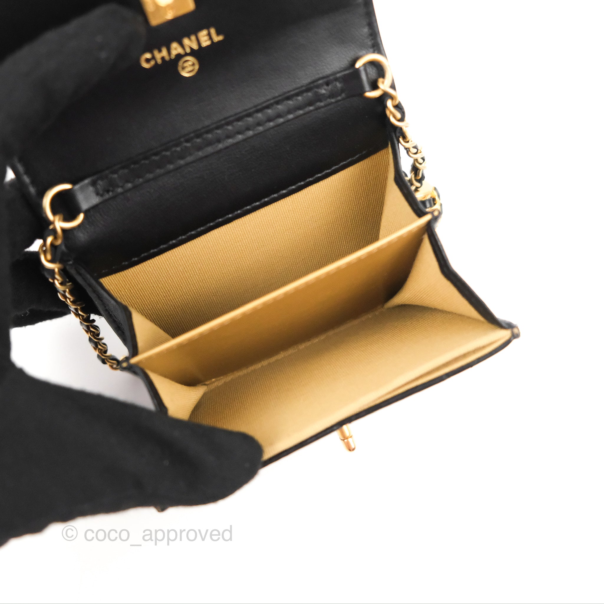 Chanels Newest Clutch with Chain is Too Dreamy to Pass Up  PurseBop