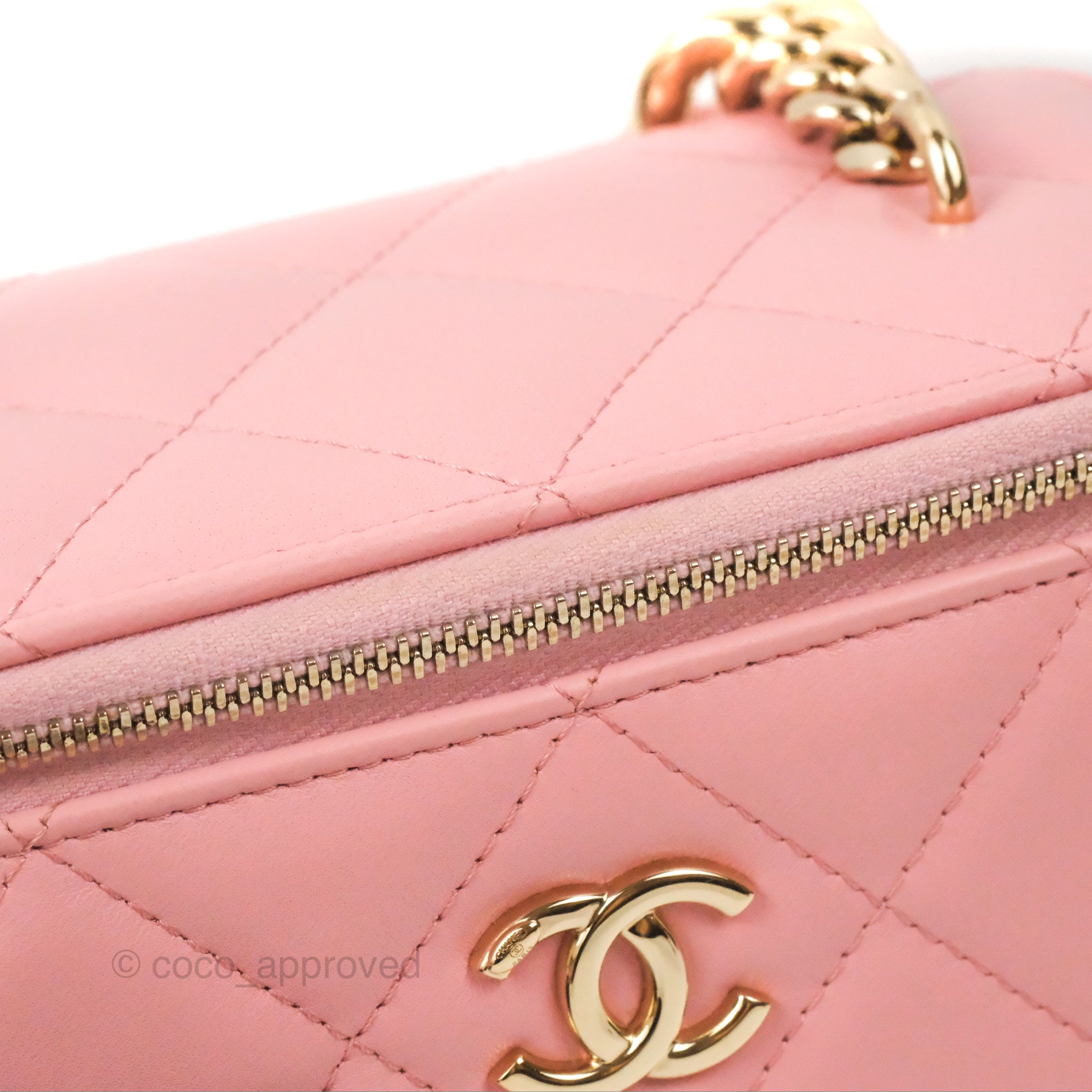 Chanel Resin Elegant Chain Vanity Case Pink Lambskin Gold Hardware – Coco  Approved Studio