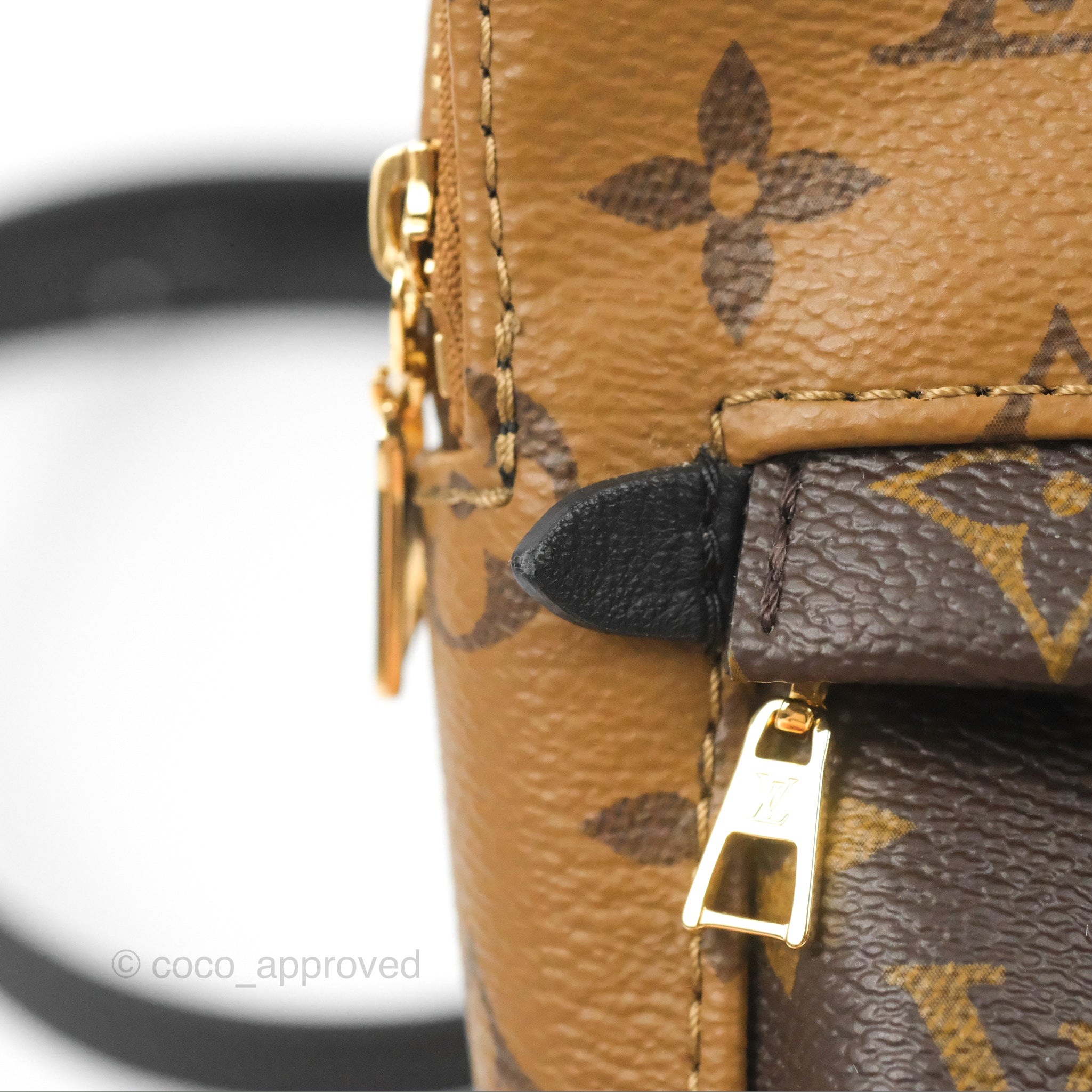 Louis Vuitton Reverse Mini Palm Springs Backpack⁣ – Coco Approved